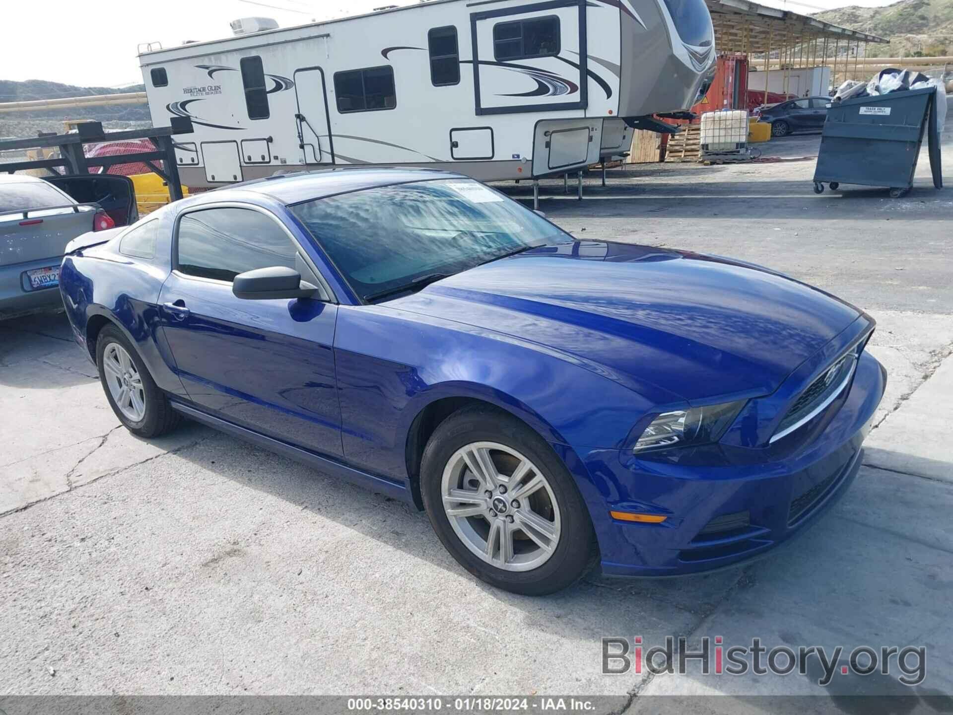 Photo 1ZVBP8AM2E5271752 - FORD MUSTANG 2014