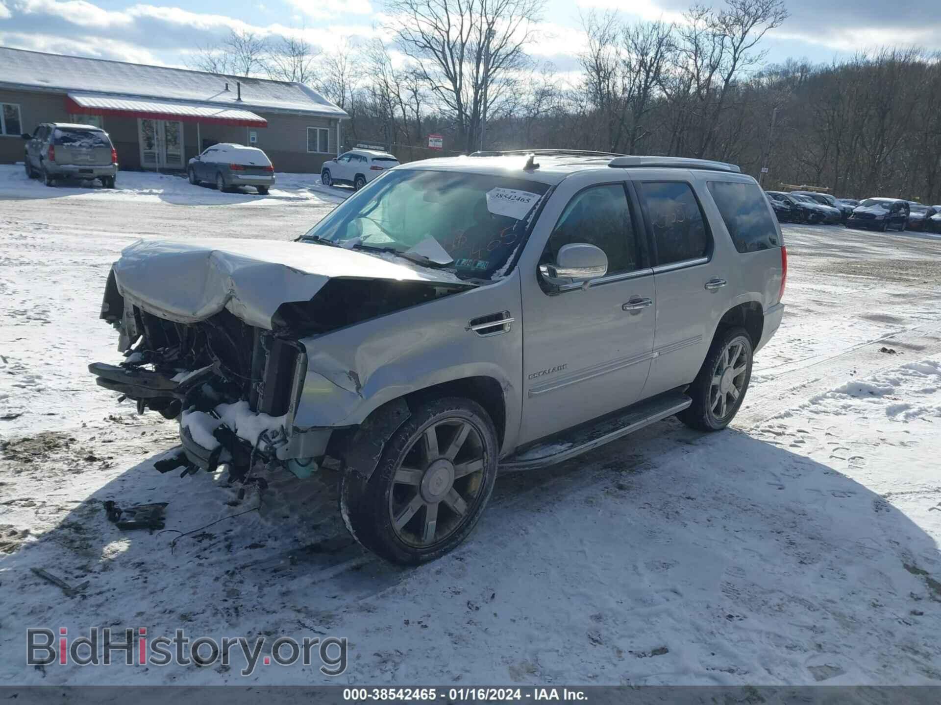 2013 CADILLAC ESCALADE - VIN: 1GYS4BEF5DR299955 - Фото 2