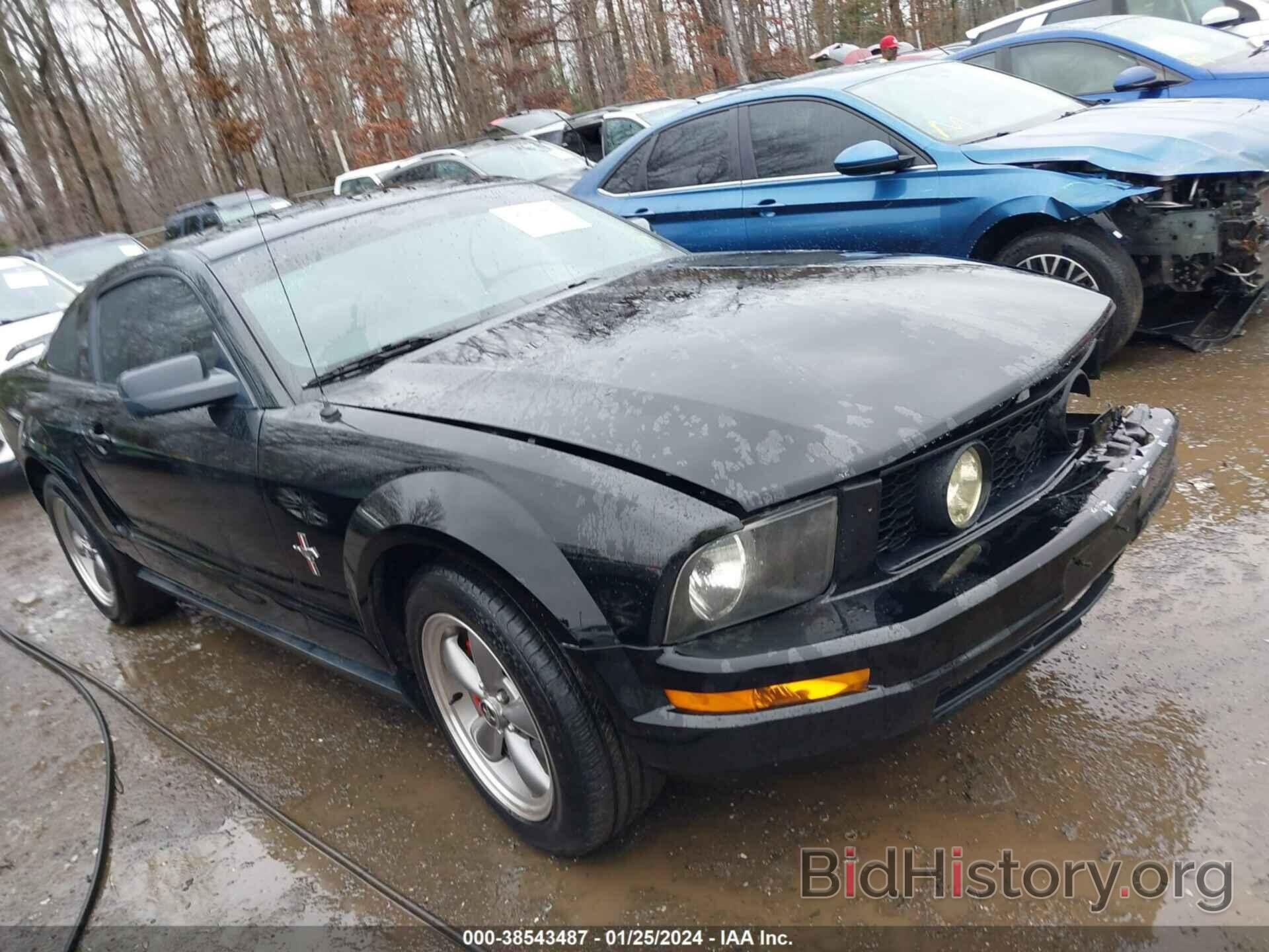 Photo 1ZVHT80NX65170427 - FORD MUSTANG 2006