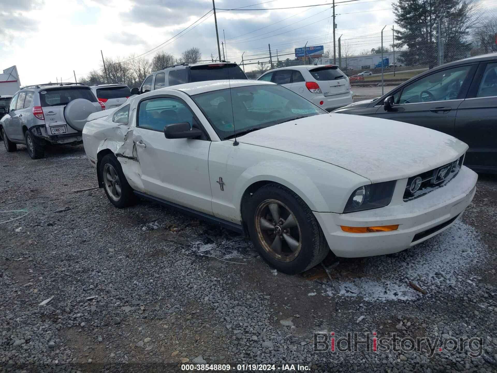 Photo 1ZVFT80NX65191673 - FORD MUSTANG 2006