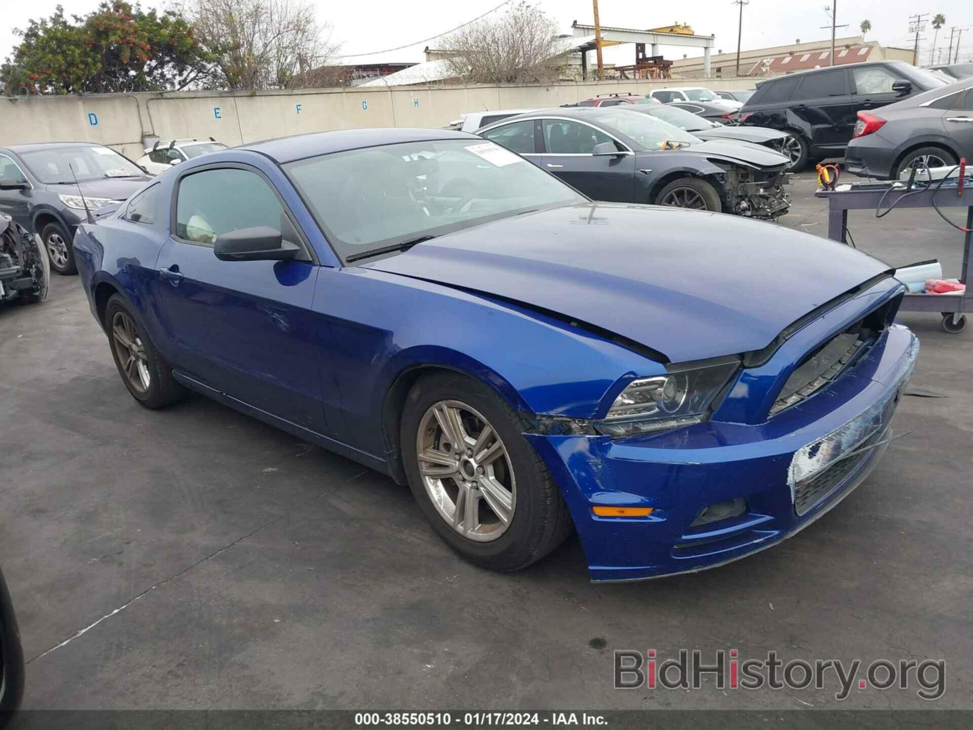 Photo 1ZVBP8AM2E5217514 - FORD MUSTANG 2014