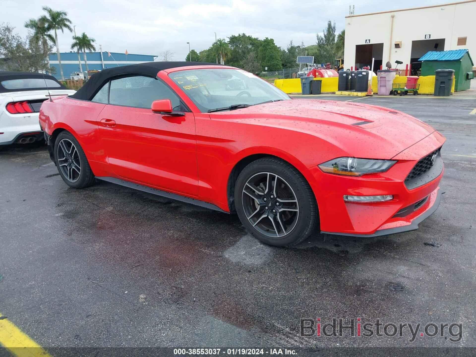Photo 1FATP8UH9M5106646 - FORD MUSTANG 2021