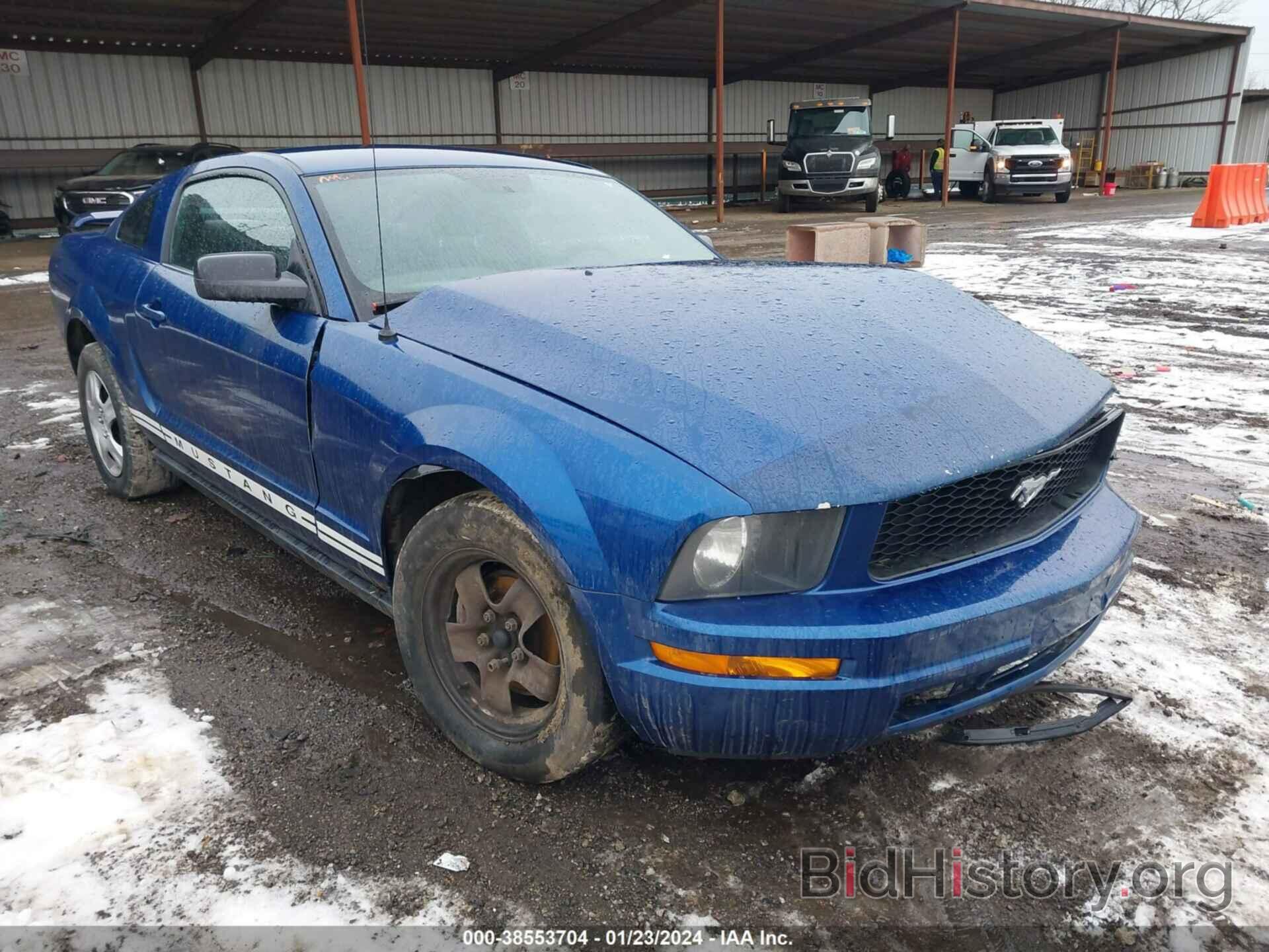 Photo 1ZVFT80N565166910 - FORD MUSTANG 2006