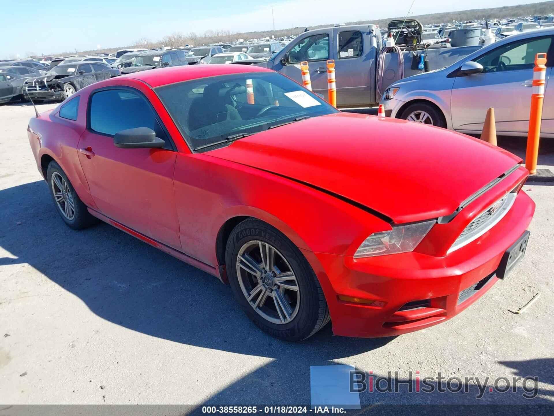 Photo 1ZVBP8AM7E5242523 - FORD MUSTANG 2014