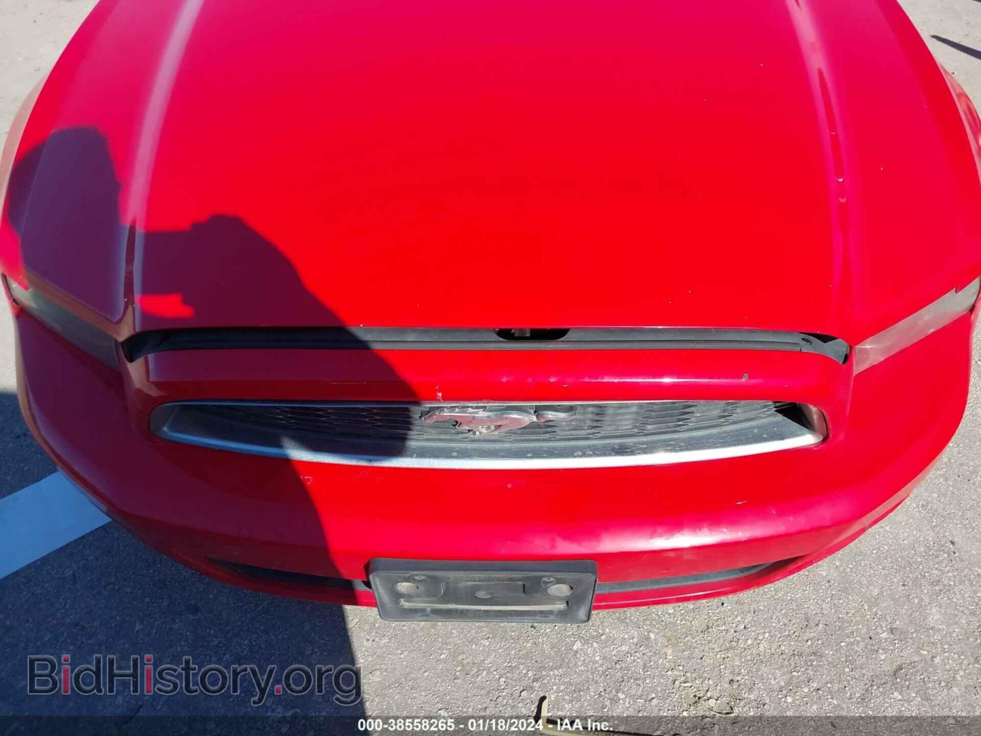 2014 FORD MUSTANG - VIN: 1ZVBP8AM7E5242523 - Фото 6