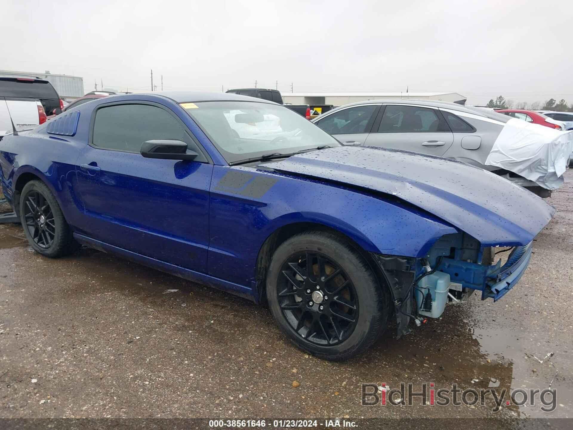 Photo 1ZVBP8AM4E5326508 - FORD MUSTANG 2014