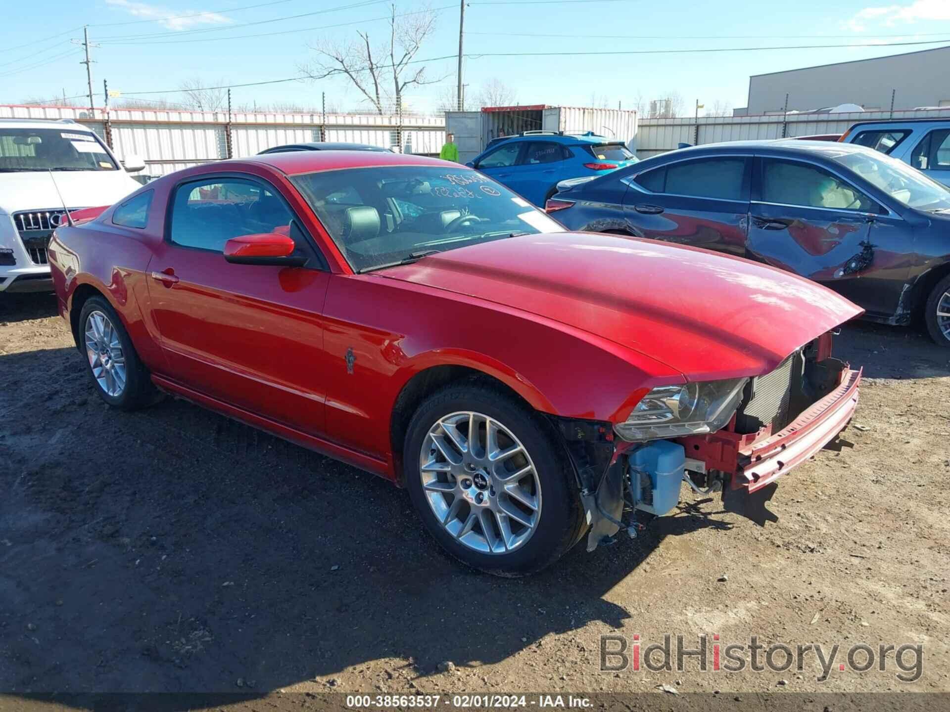 Photo 1ZVBP8AM4D5251338 - FORD MUSTANG 2013