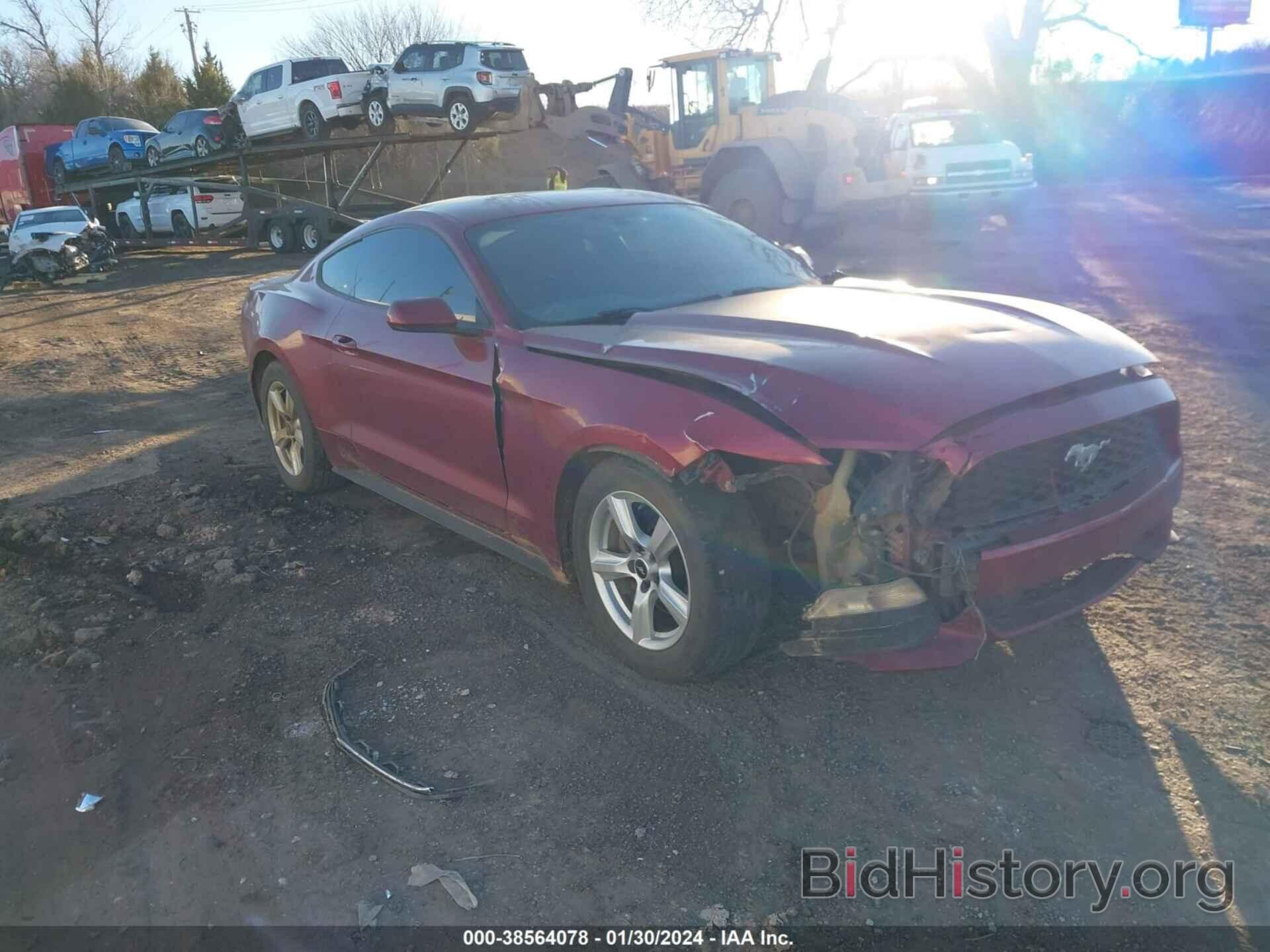 Photo 1FA6P8AM1H5312662 - FORD MUSTANG 2017