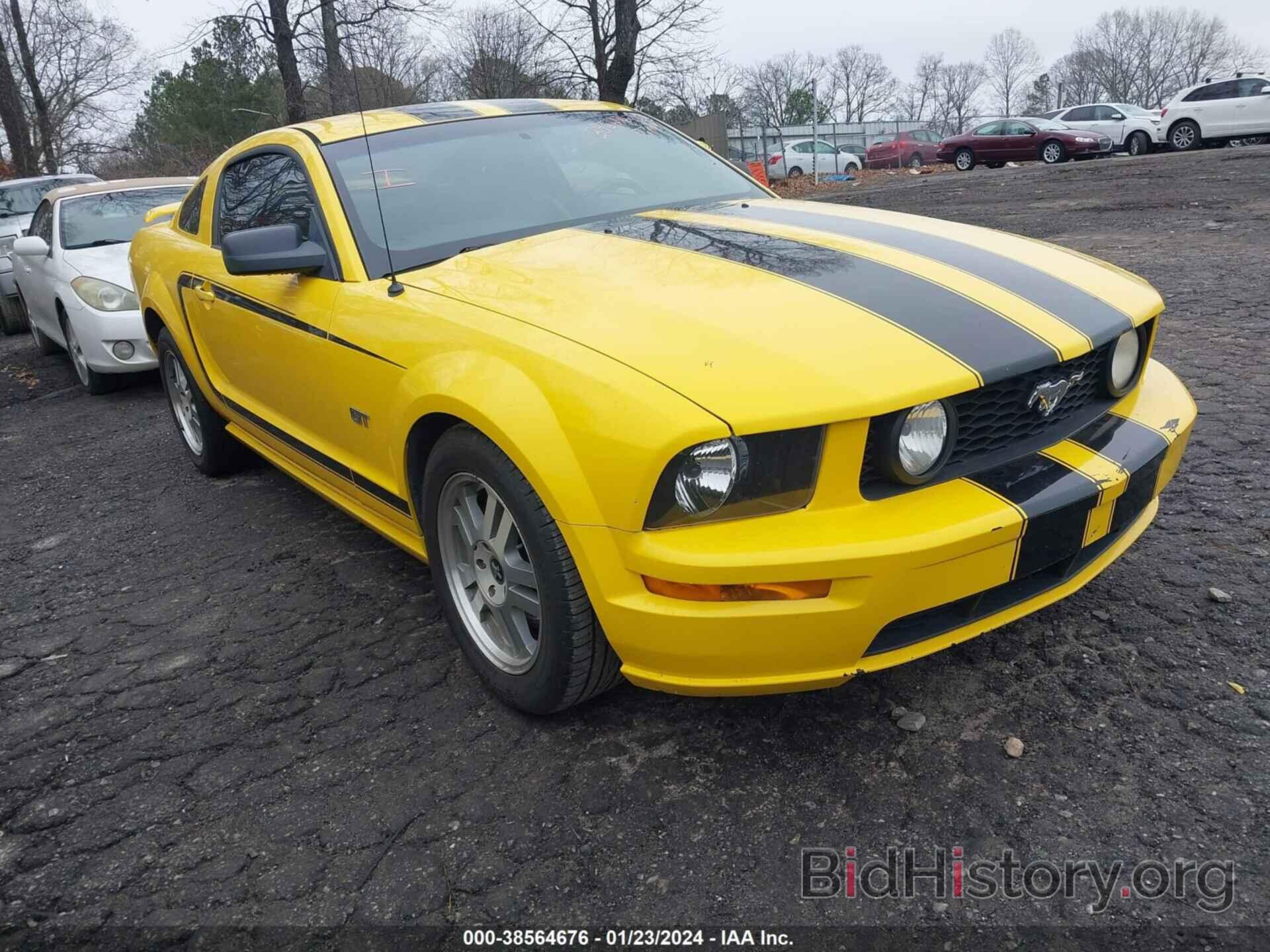 Photo 1ZVHT82H665100897 - FORD MUSTANG 2006