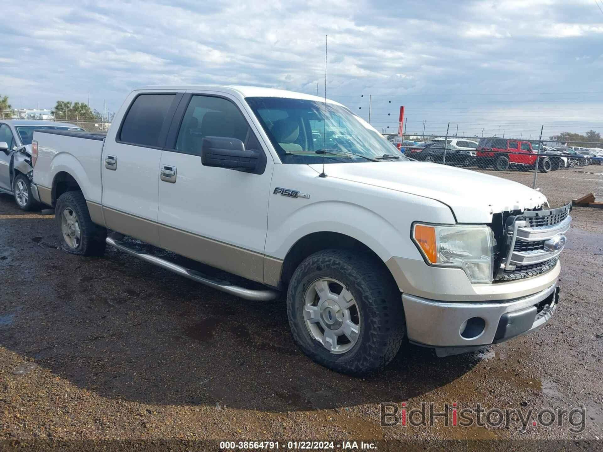 Photo 1FTEW1CM7DKG06382 - FORD F-150 2013