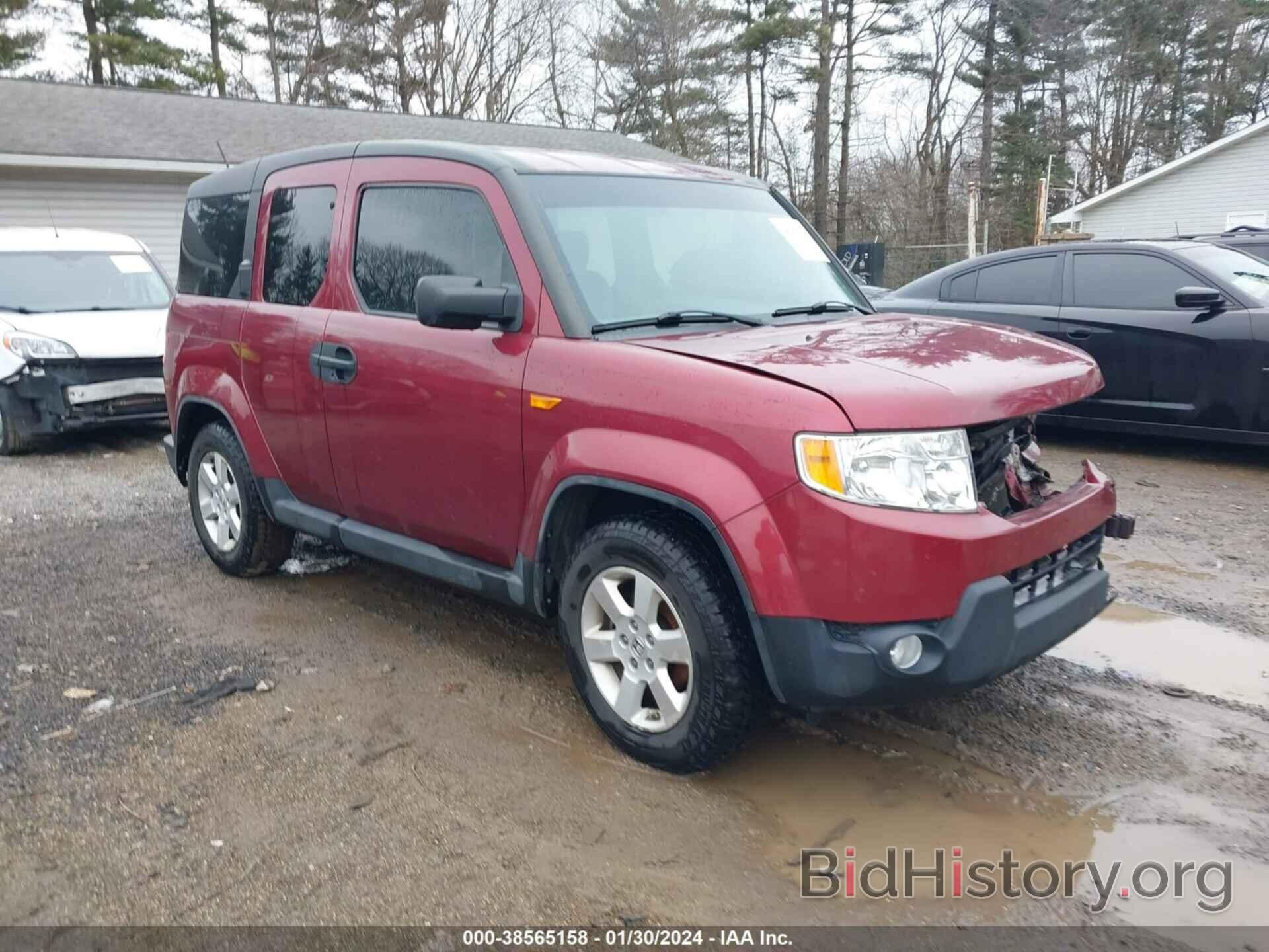 Photo 5J6YH2H78AL005997 - HONDA ELEMENT 2010