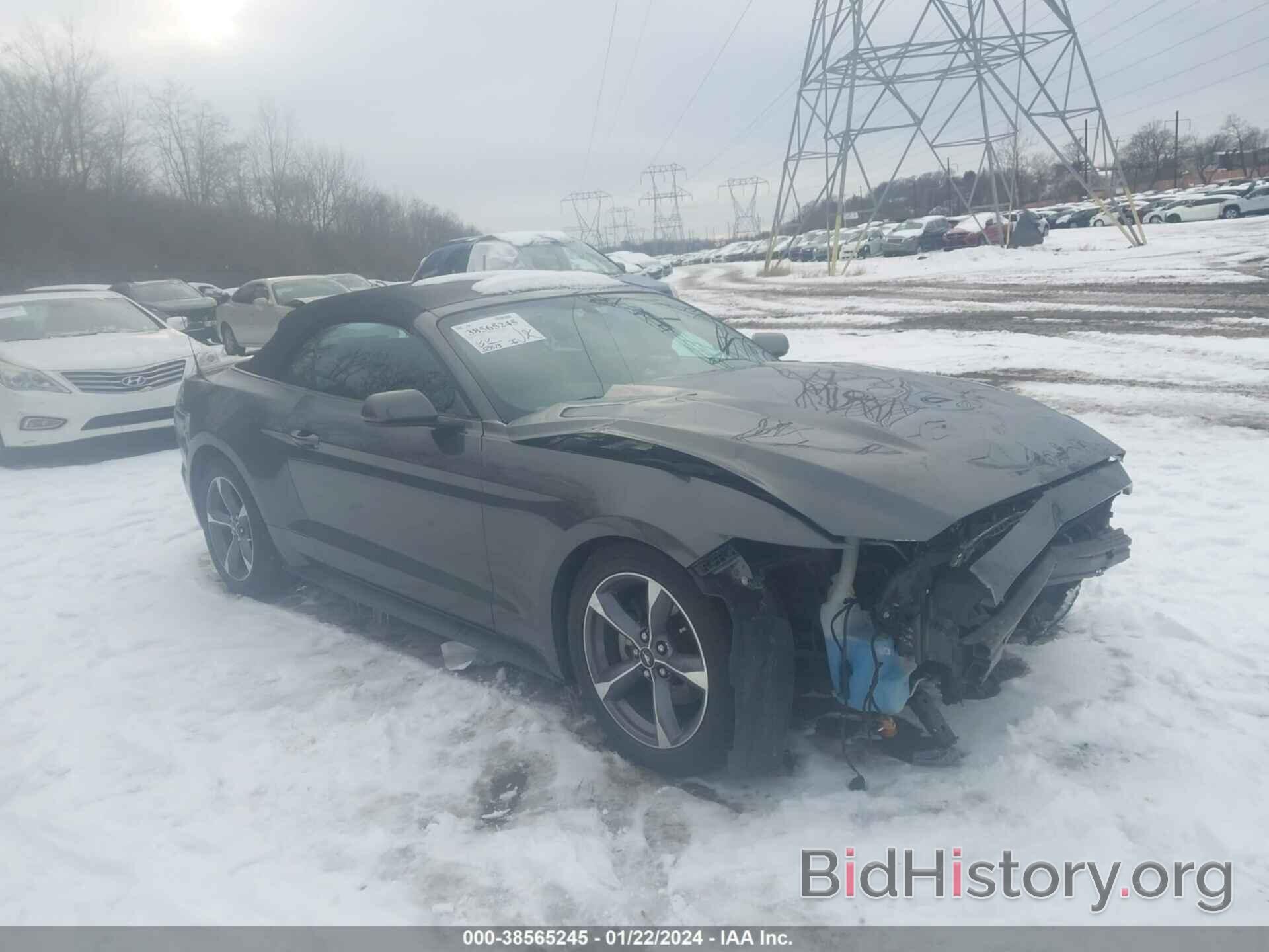 Photo 1FATP8EM1F5377604 - FORD MUSTANG 2015