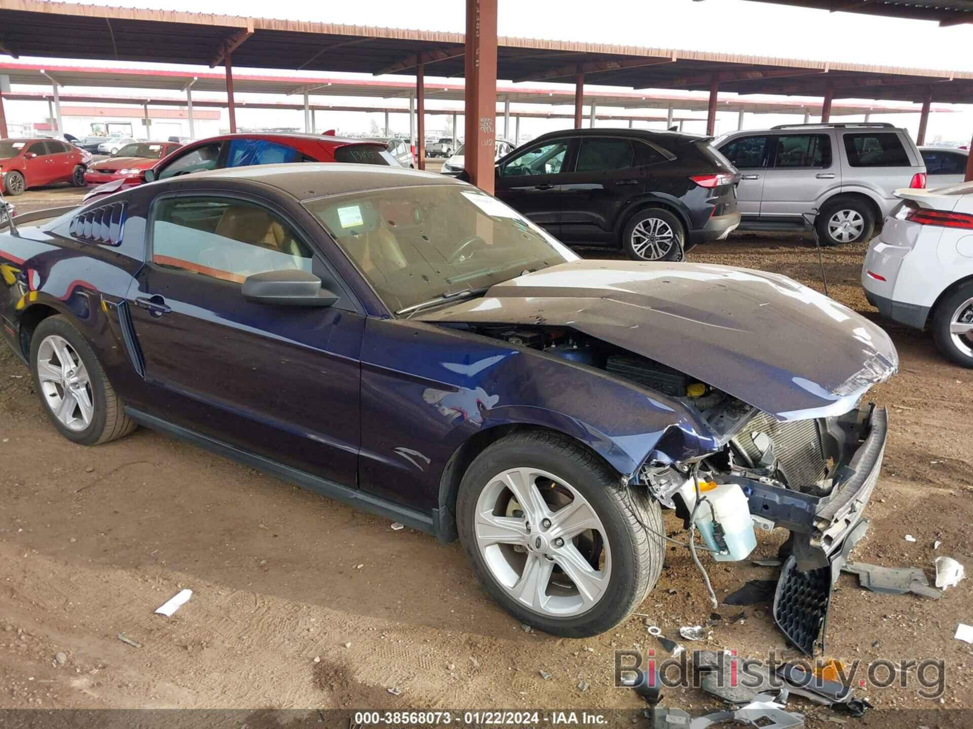 Photo 1ZVBP8AN0A5147434 - FORD MUSTANG 2010