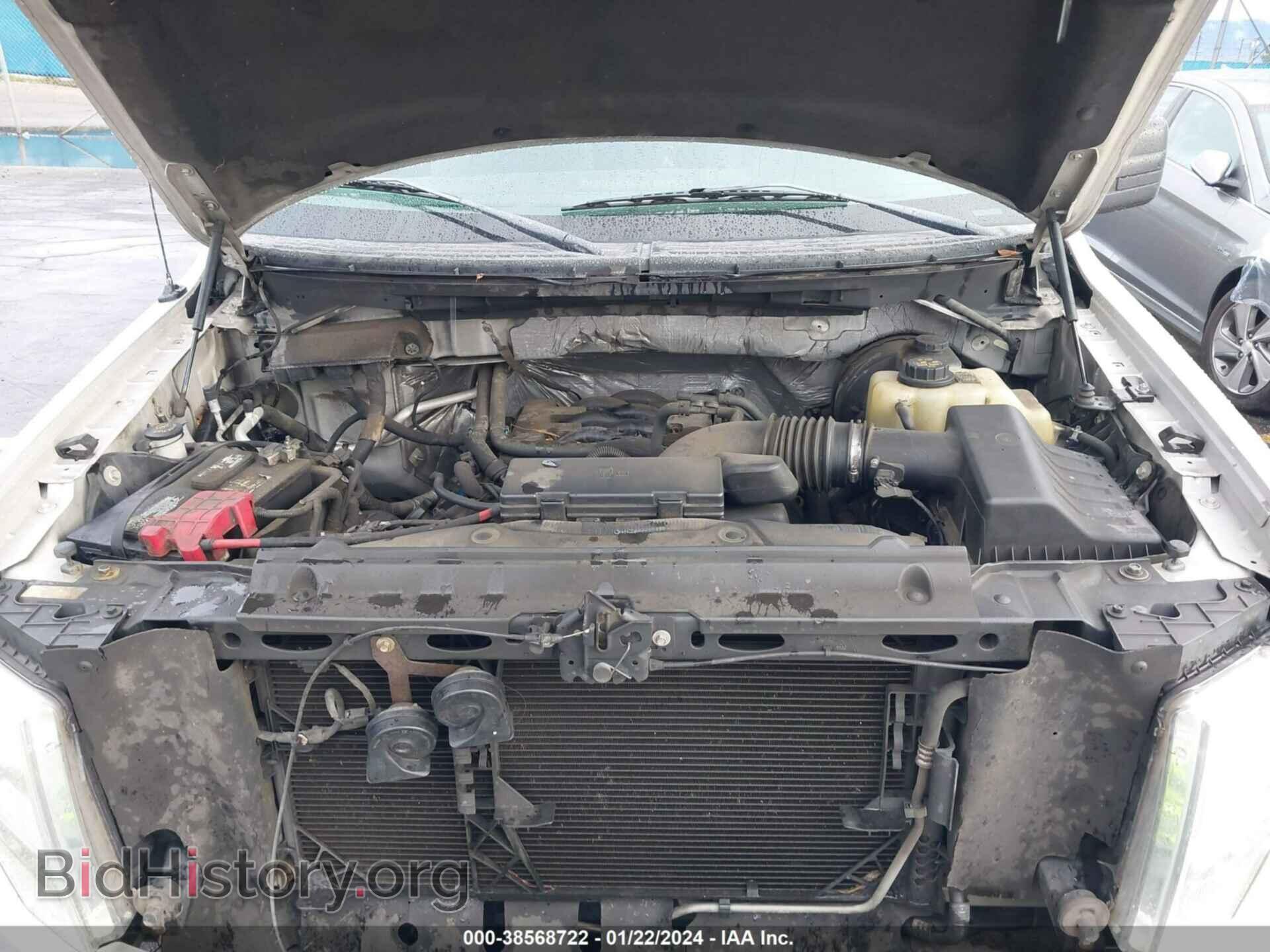 2011 FORD F-150 - VIN: 1FTFX1CF8BFB99231 - Фото 10