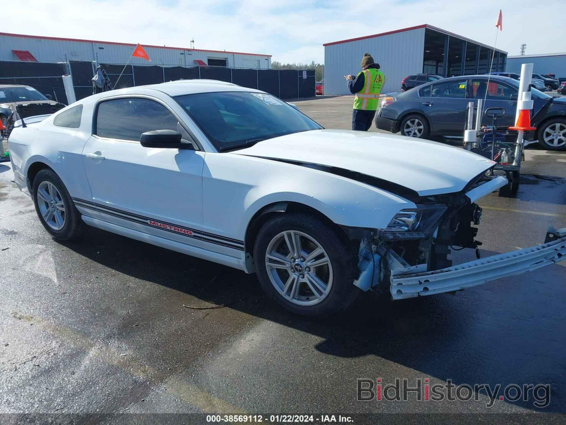 Photo 1ZVBP8AM6E5267655 - FORD MUSTANG 2014