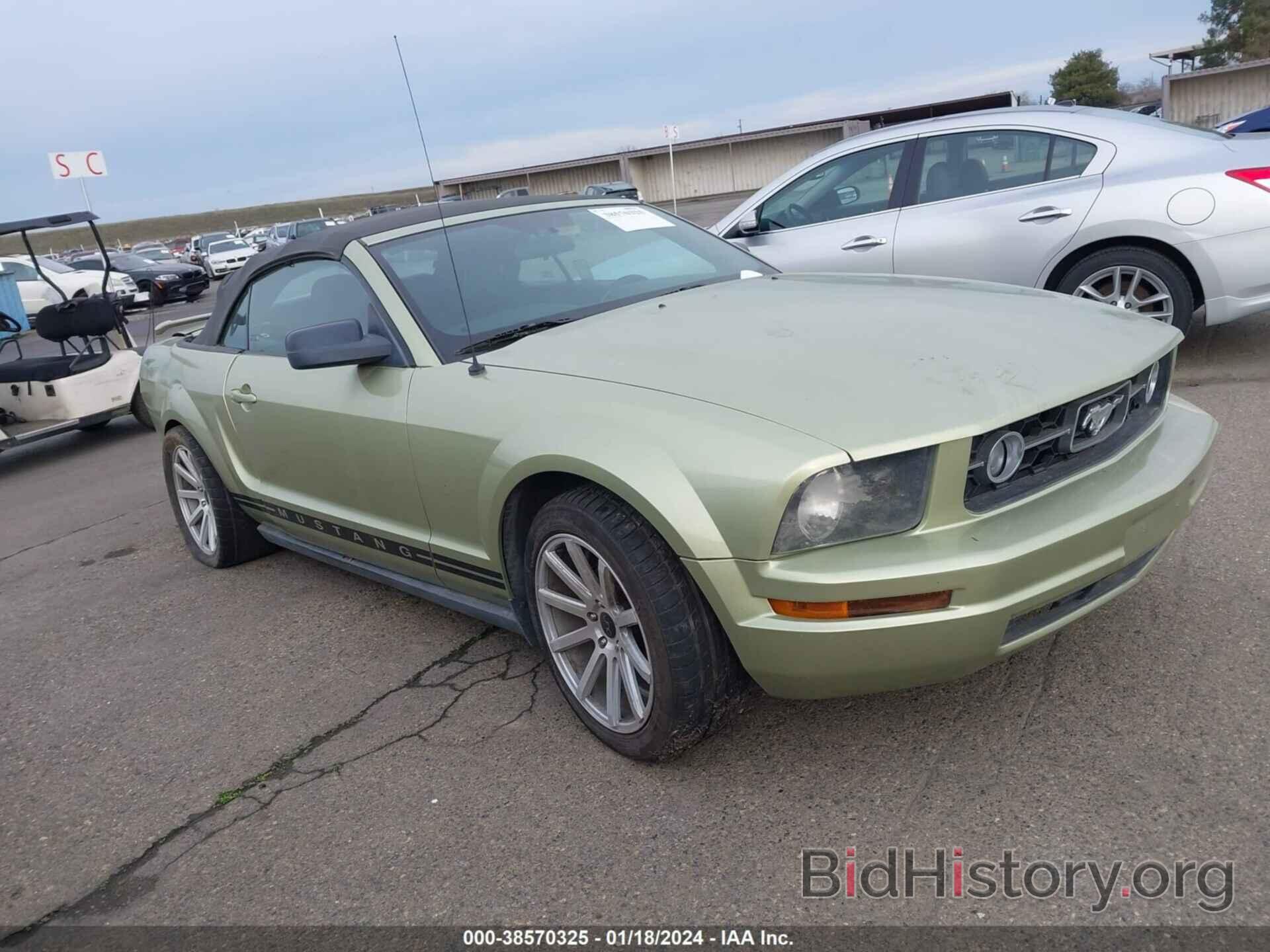 Photo 1ZVHT84N865115047 - FORD MUSTANG 2006