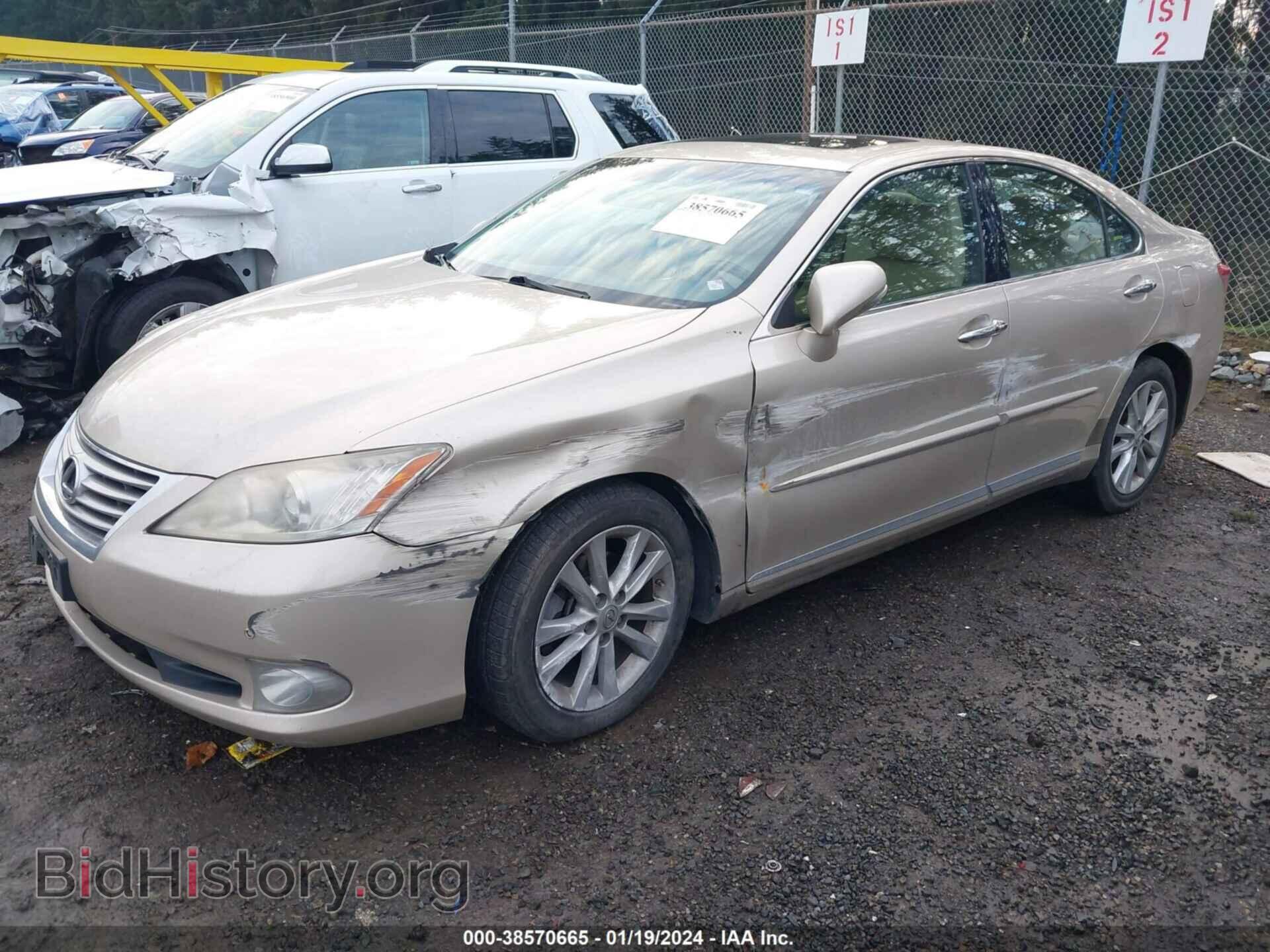 2011 LEXUS ES 350 - VIN: JTHBK1EG8B2417404 - Фото 2