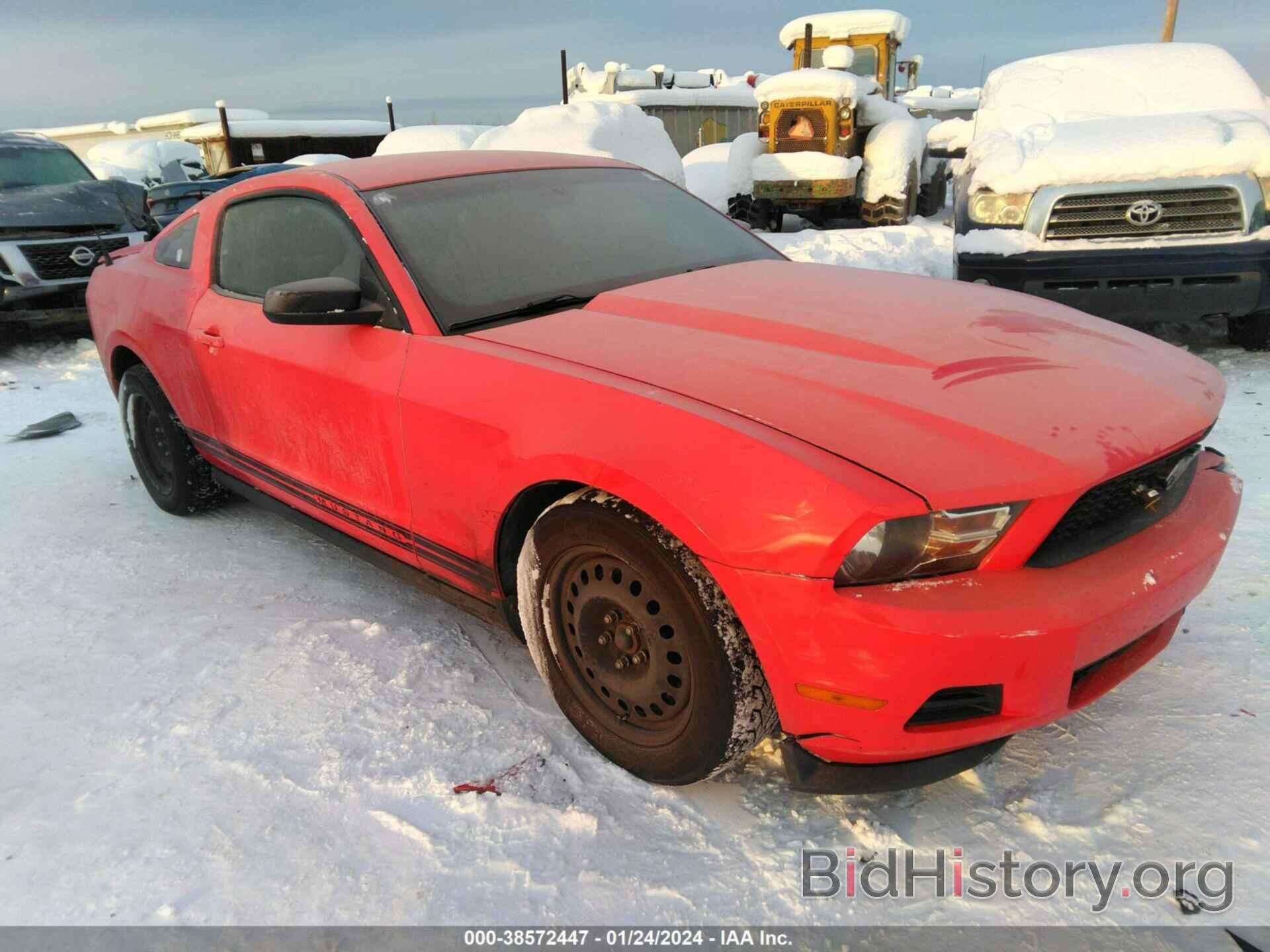 Photo 1ZVBP8AM8C5272658 - FORD MUSTANG 2012