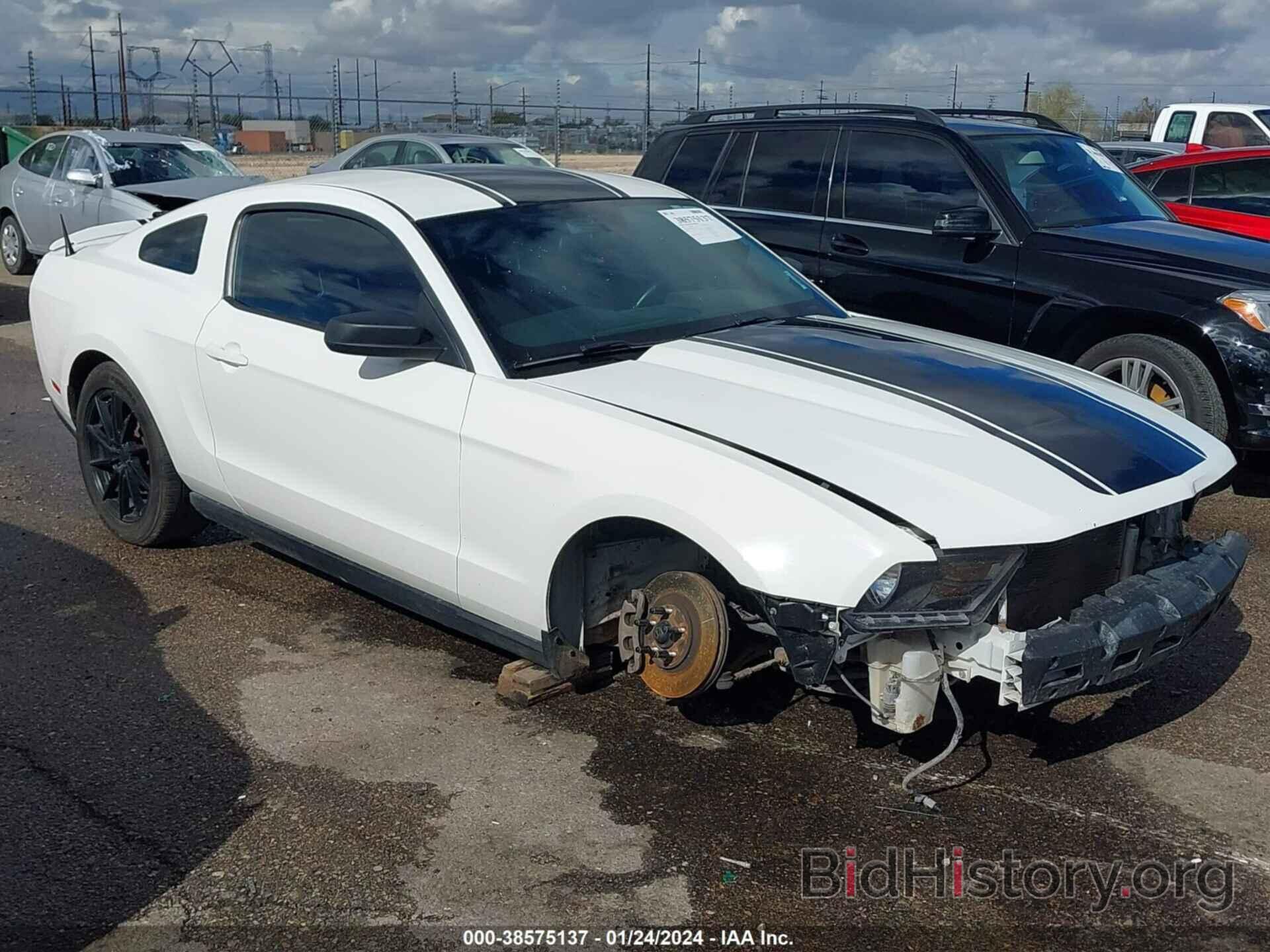 Photo 1ZVBP8AM9C5276203 - FORD MUSTANG 2012