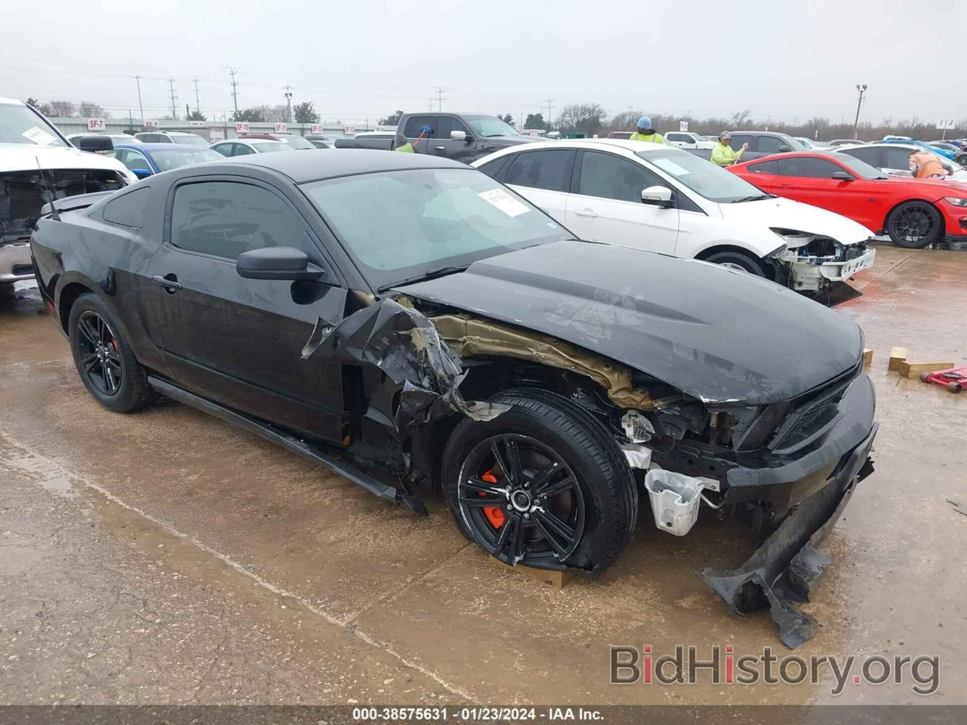 Photo 1ZVBP8AM2B5168777 - FORD MUSTANG 2011