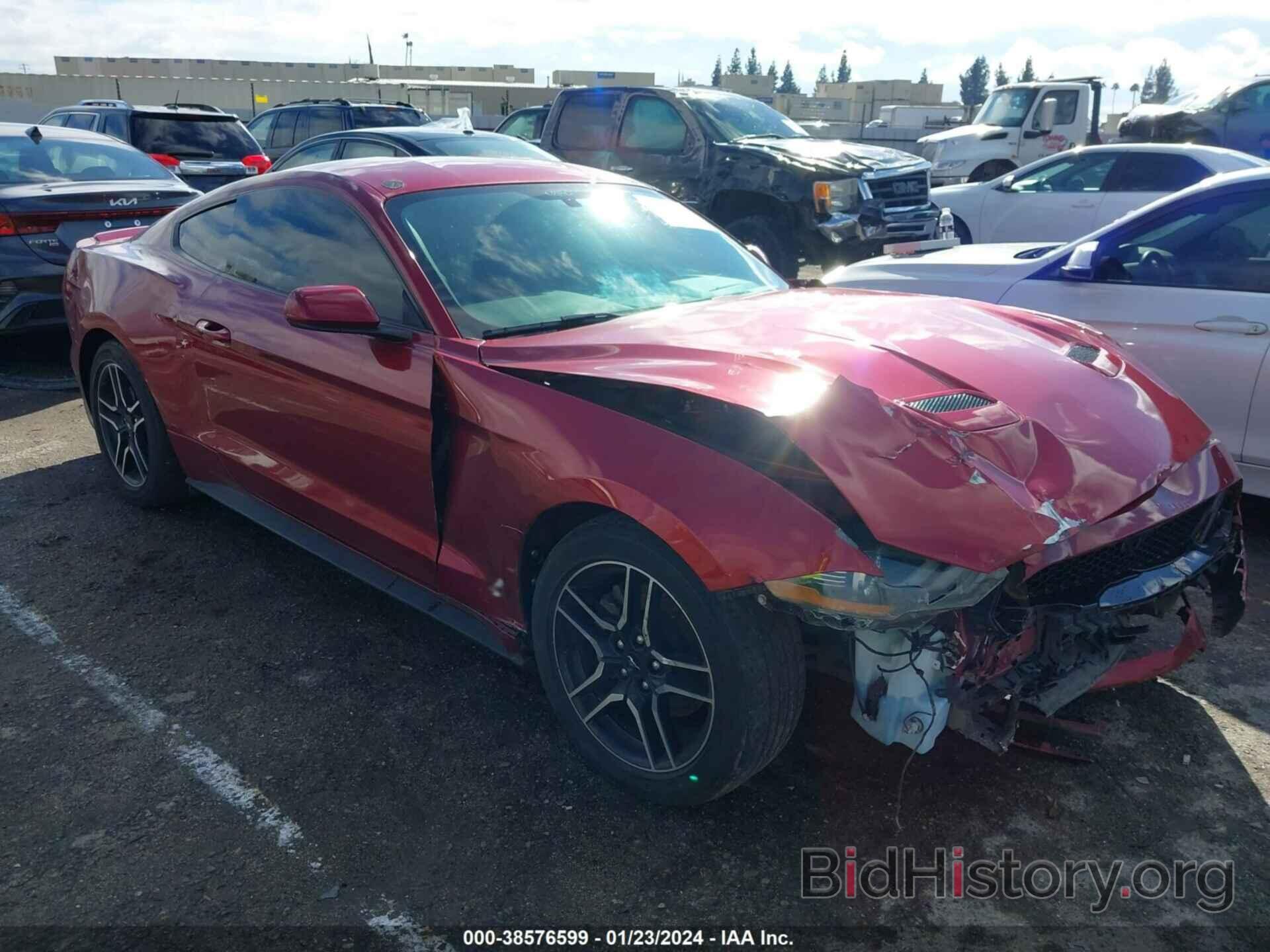Photo 1FA6P8TH2K5186142 - FORD MUSTANG 2019