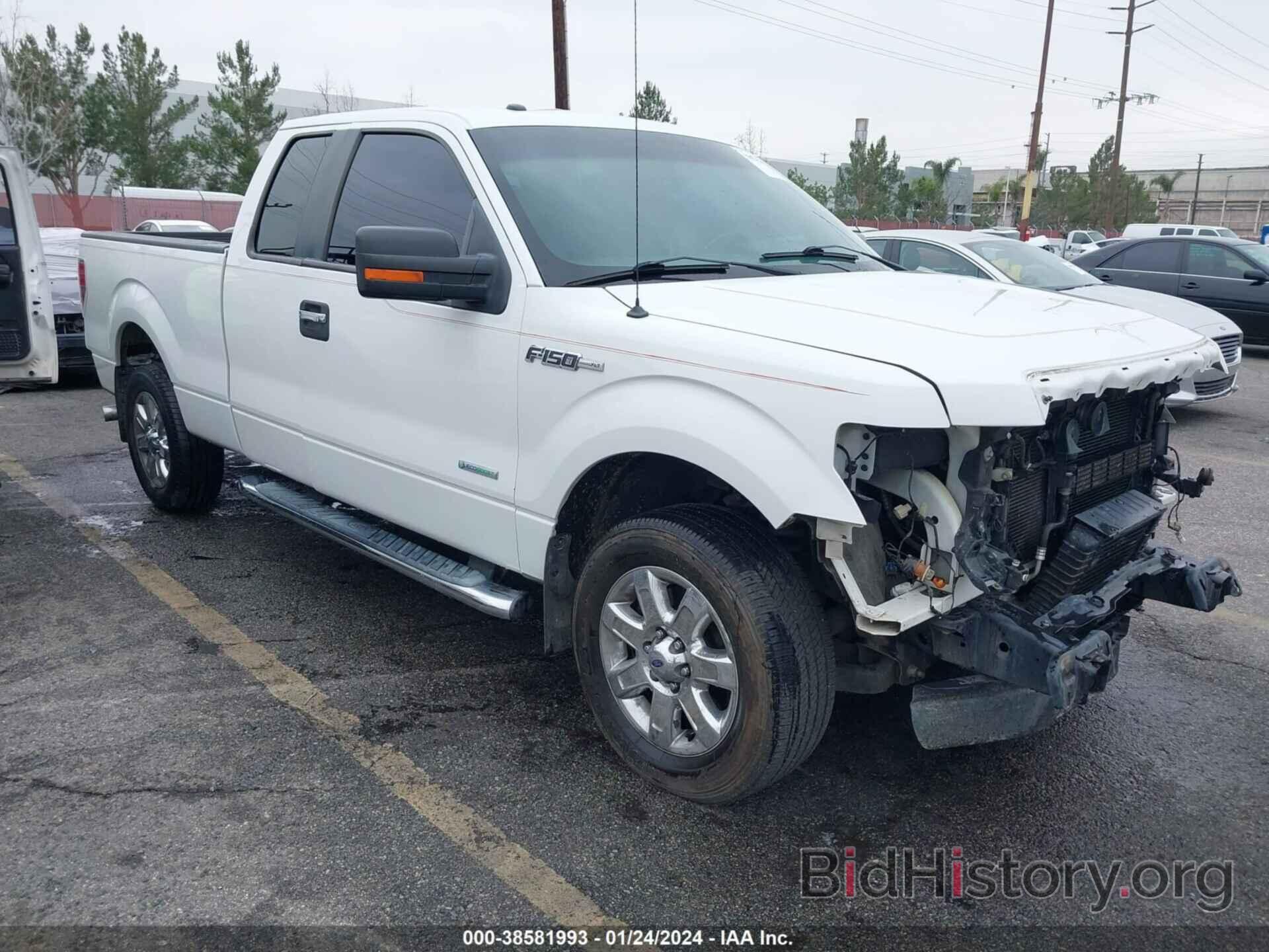 Photo 1FTFX1CT7DKG33025 - FORD F-150 2013