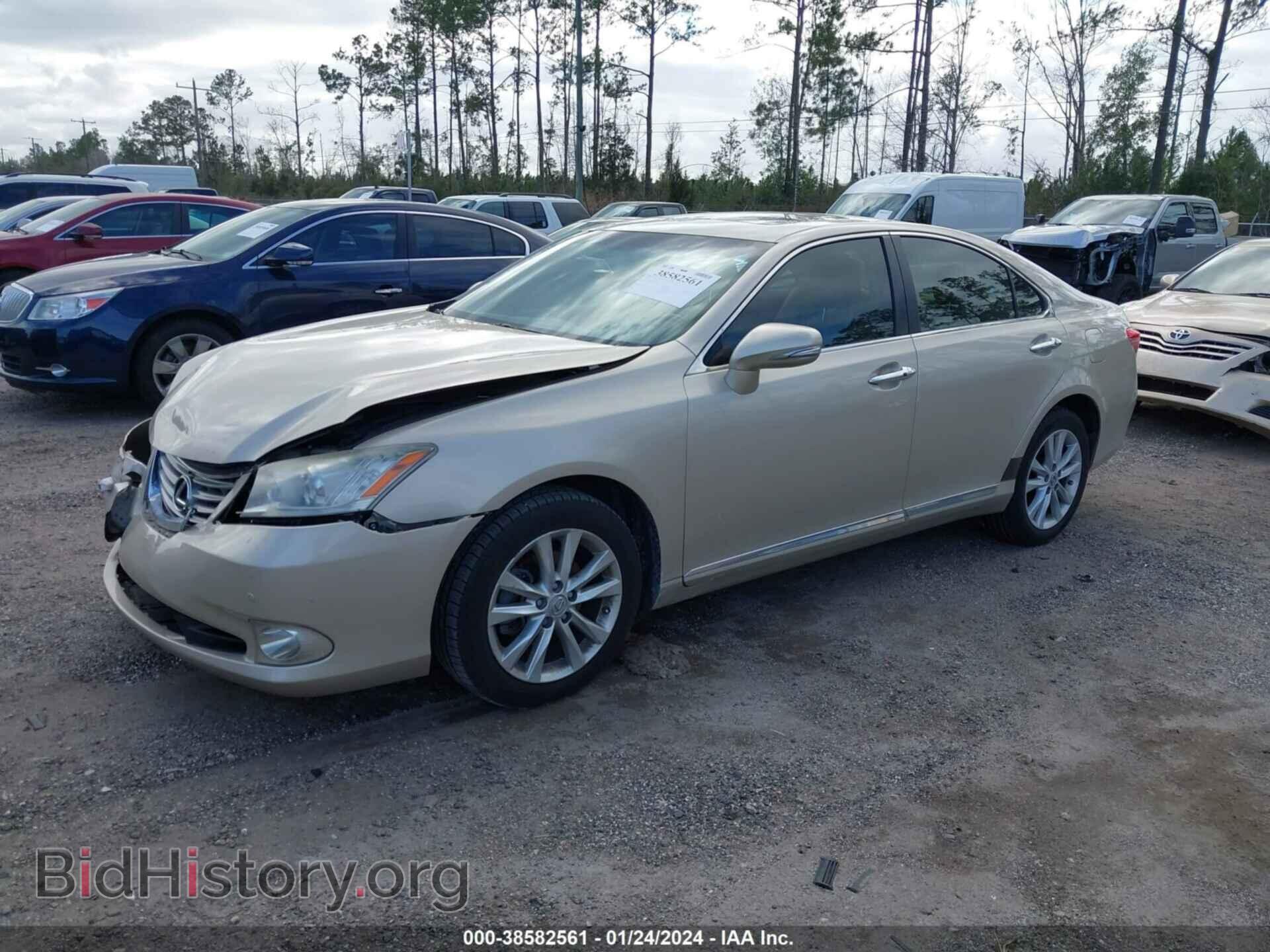 2011 LEXUS ES 350 - VIN: JTHBK1EG7B2456646 - Фото 2