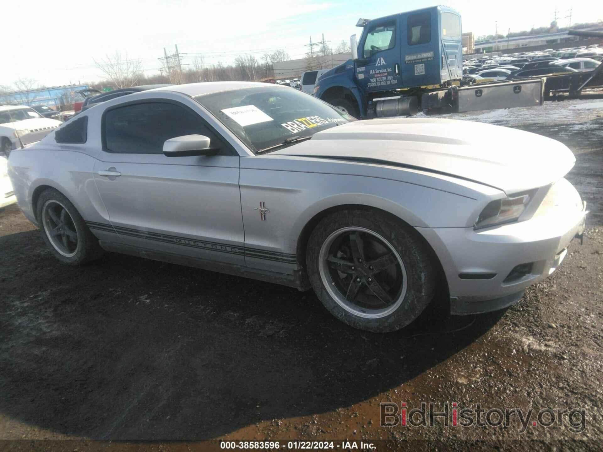 Photo 1ZVBP8AMXC5271320 - FORD MUSTANG 2012