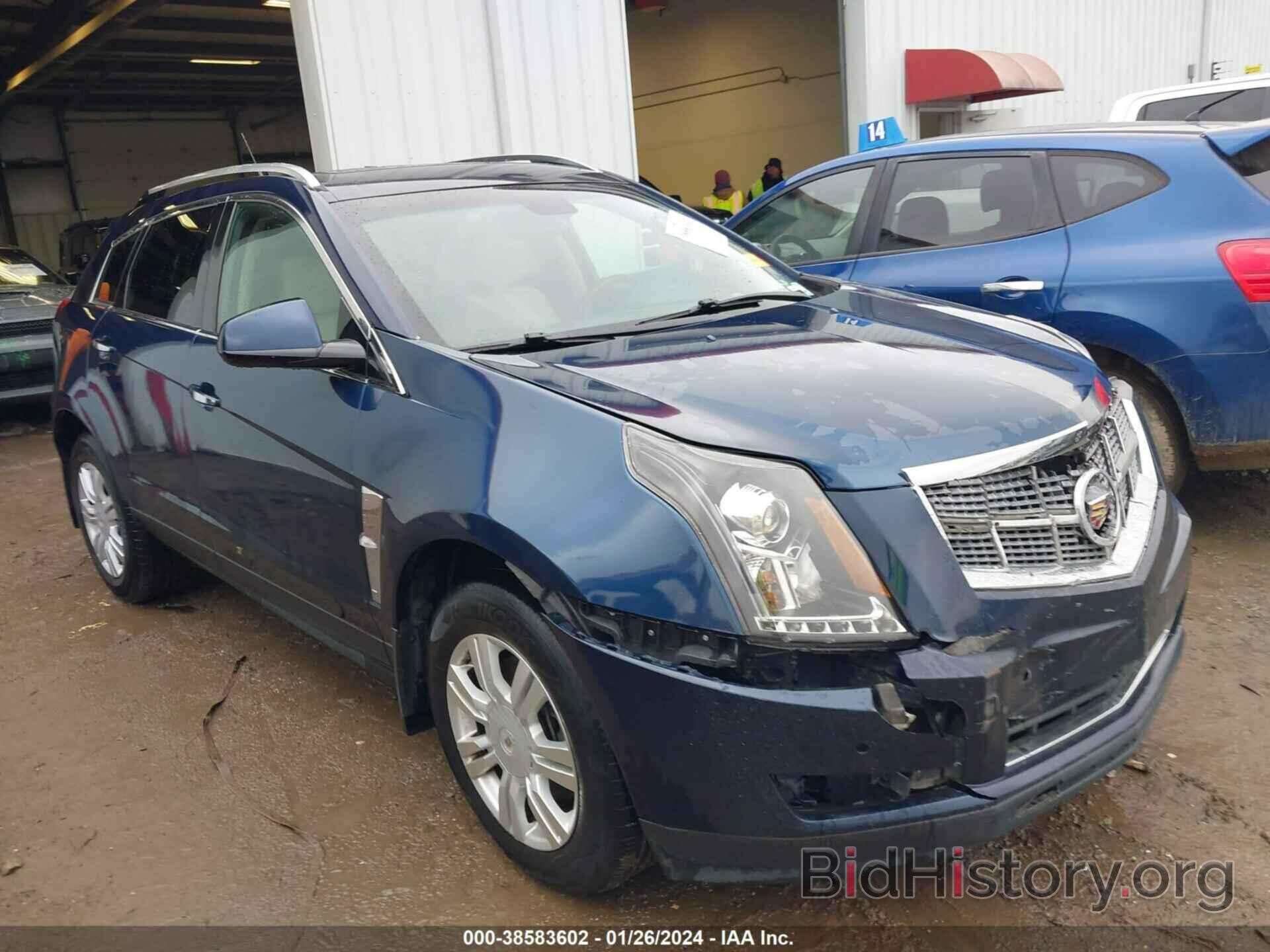 Photo 3GYFNAEY2AS522441 - CADILLAC SRX 2010