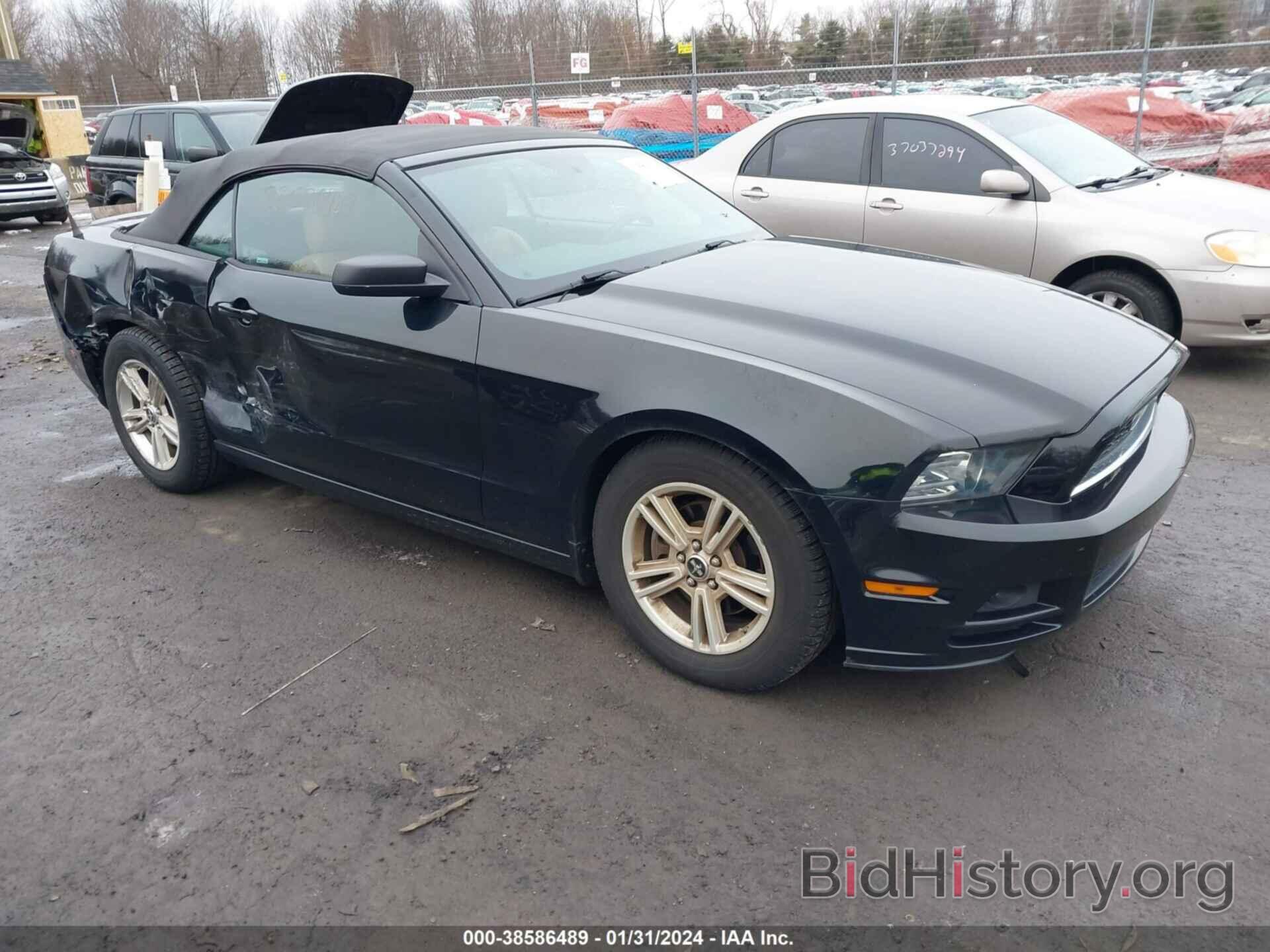 Photo 1ZVBP8EM4E5318158 - FORD MUSTANG 2014