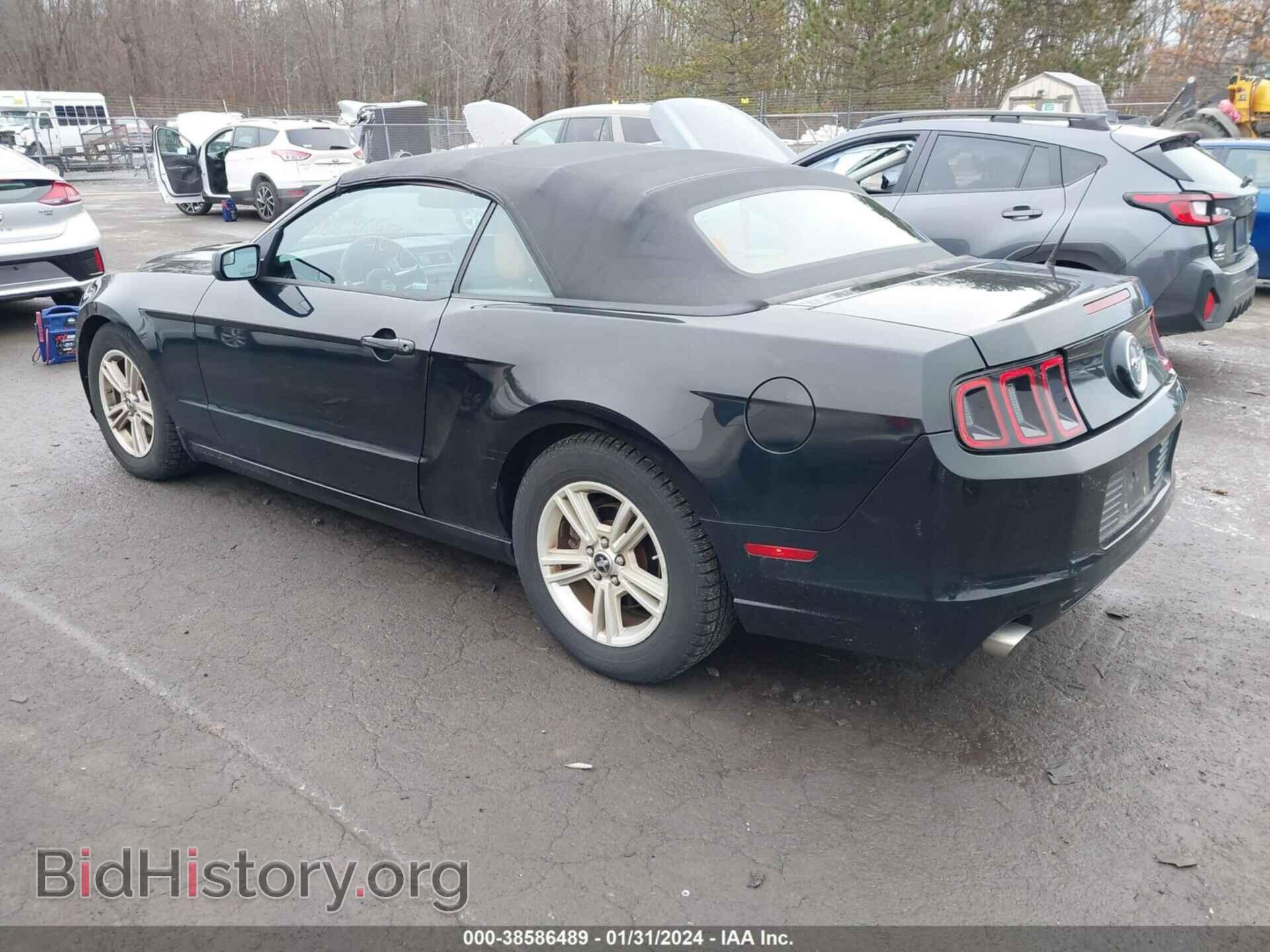2014 FORD MUSTANG - VIN: 1ZVBP8EM4E5318158 - Фото 3