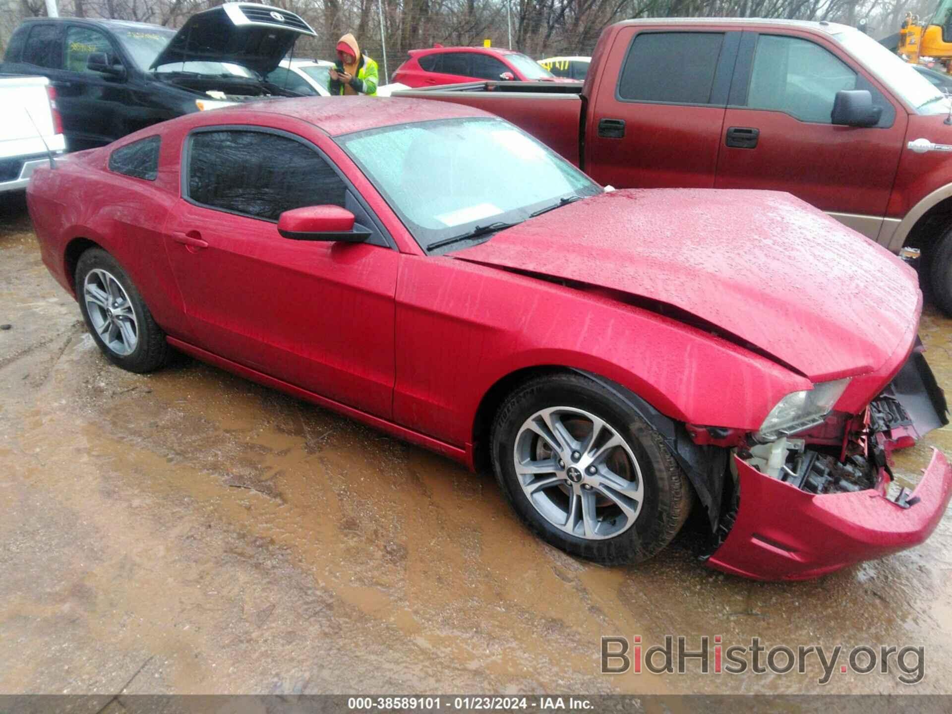 Photo 1ZVBP8AM4E5279738 - FORD MUSTANG 2014