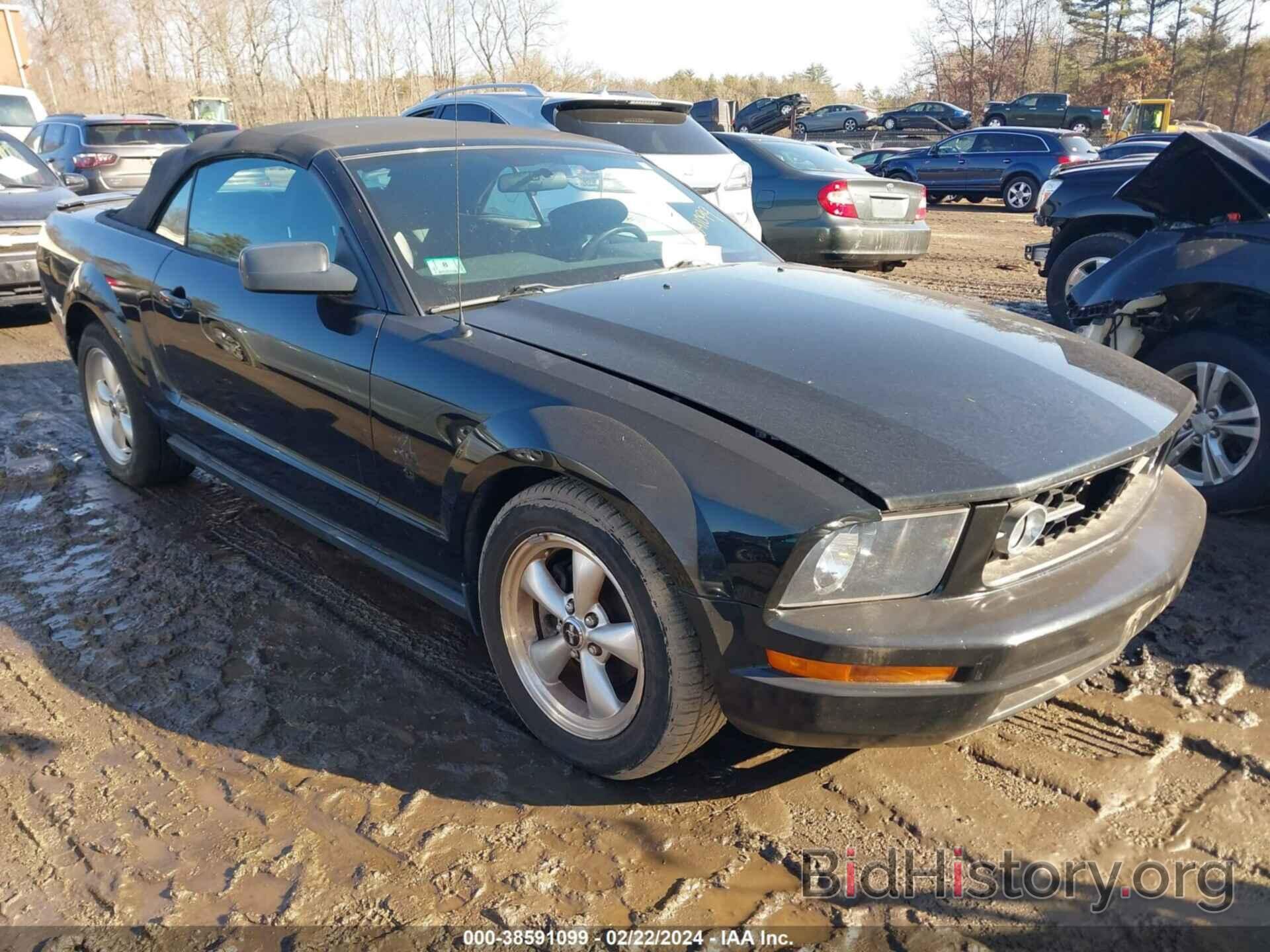 Photo 1ZVHT84N075355470 - FORD MUSTANG 2007