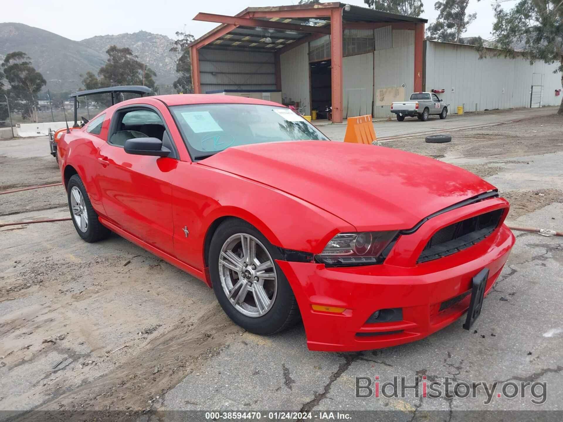 Photo 1ZVBP8AM3E5327715 - FORD MUSTANG 2014