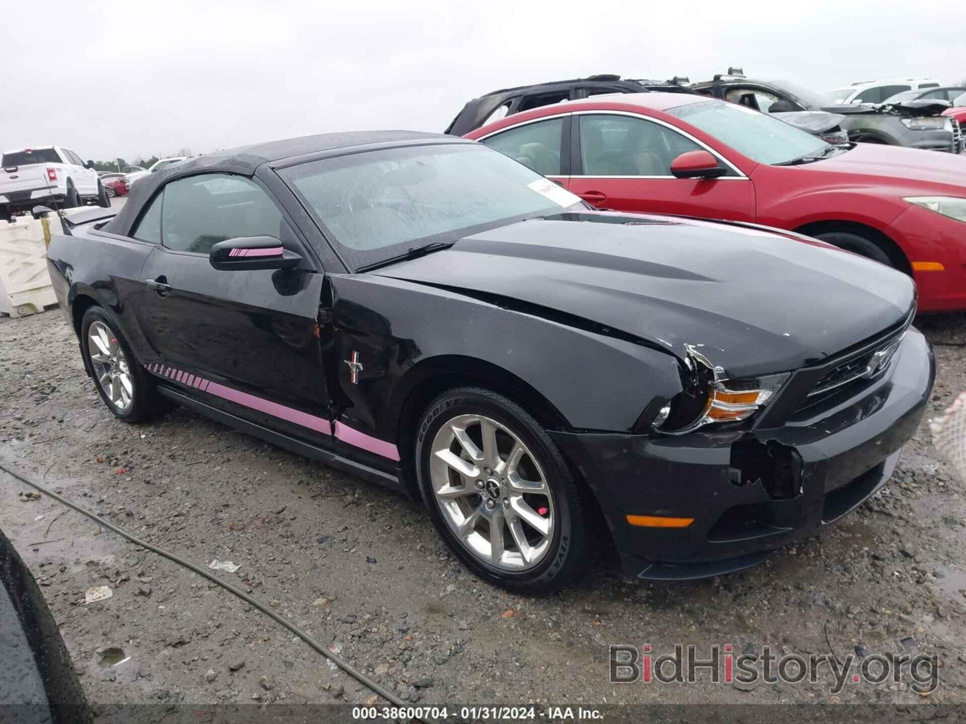 Photo 1ZVBP8EM0B5156895 - FORD MUSTANG 2011