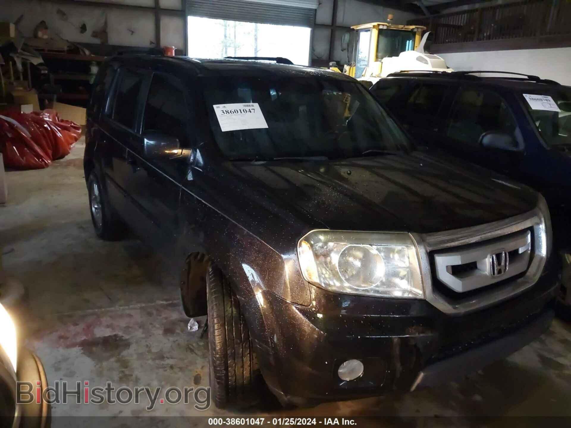 Photo 5FNYF3H53BB010643 - HONDA PILOT 2011