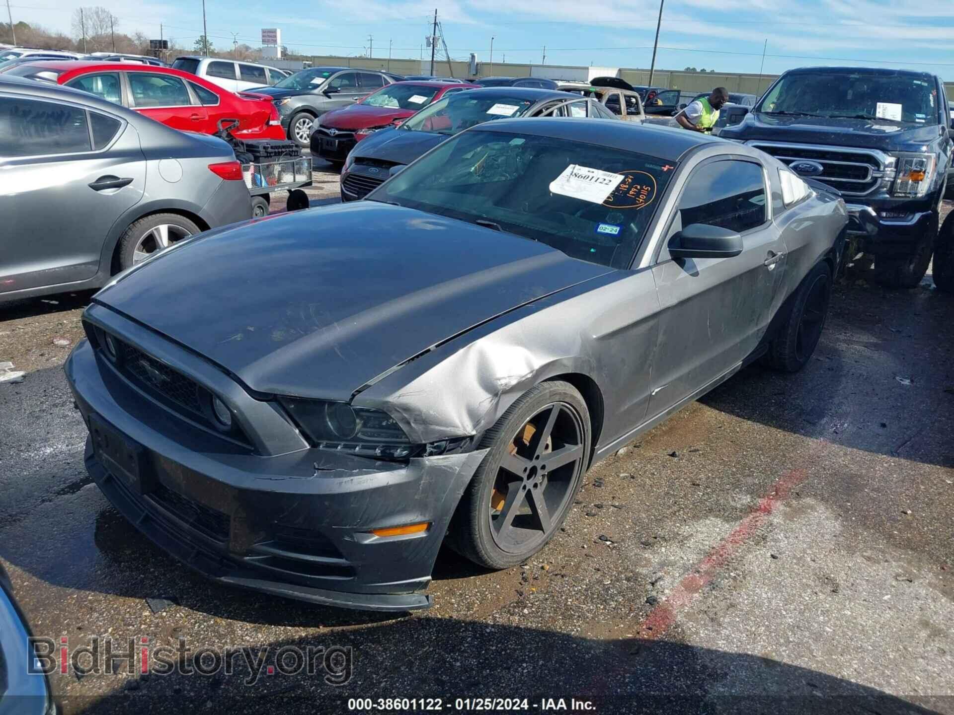 2013 FORD MUSTANG - VIN: 1ZVBP8AM8D5281992 - Фото 2