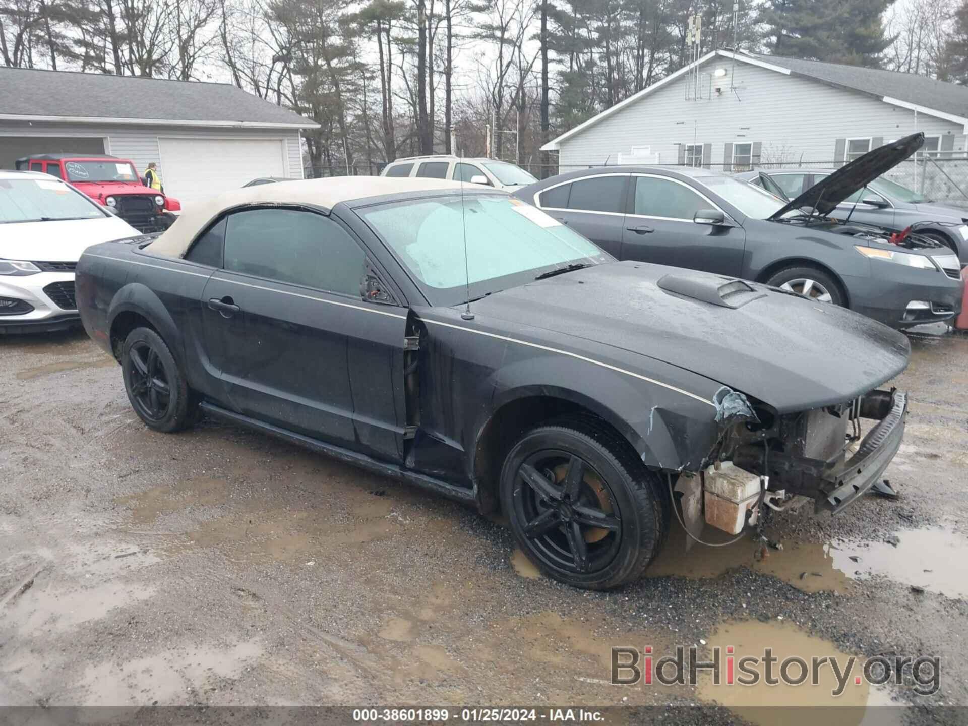 Photo 1ZVFT84N165106522 - FORD MUSTANG 2006
