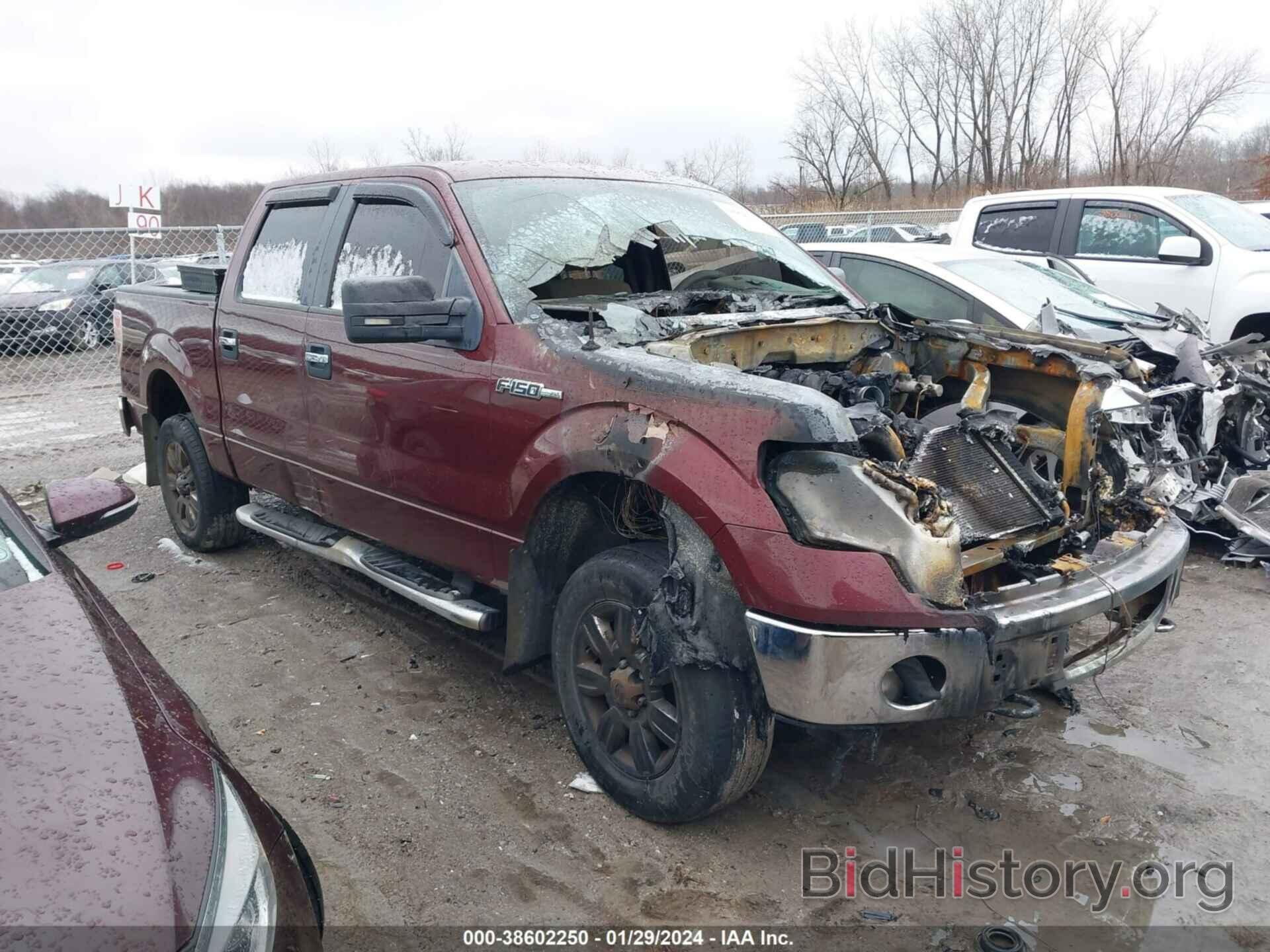 Photo 1FTEW1E87AFB54468 - FORD F-150 2010