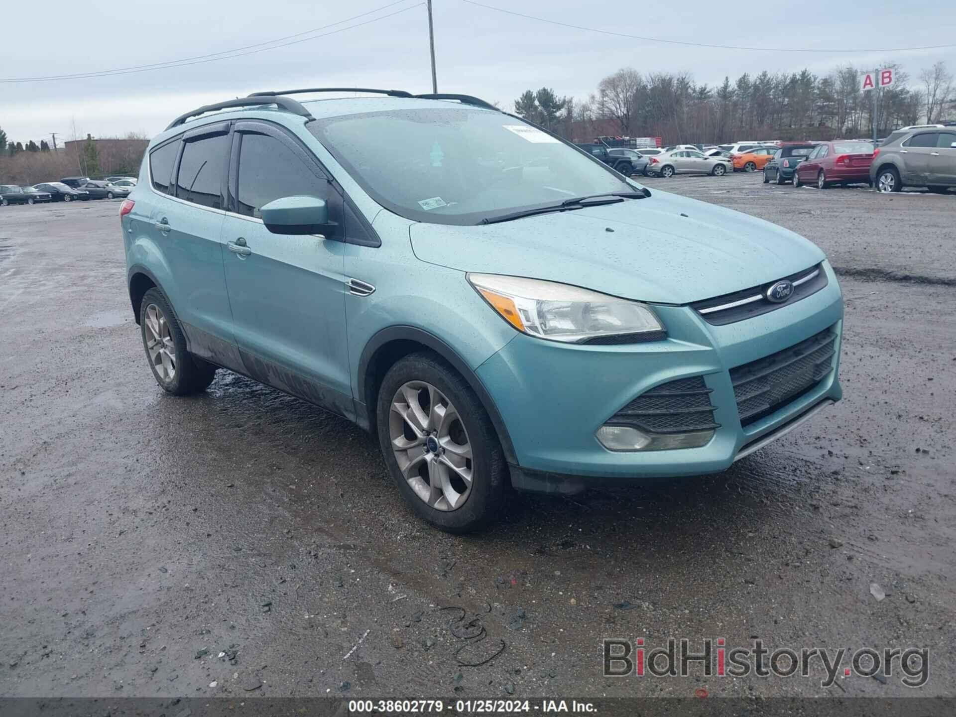 Photo 1FMCU0GX2DUA37176 - FORD ESCAPE 2013