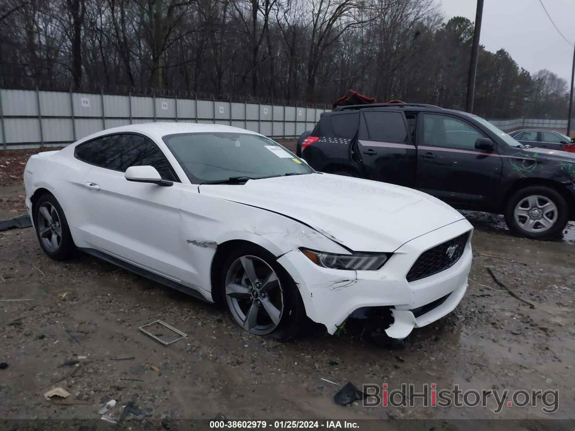 Photo 1FA6P8AM4G5292616 - FORD MUSTANG 2016