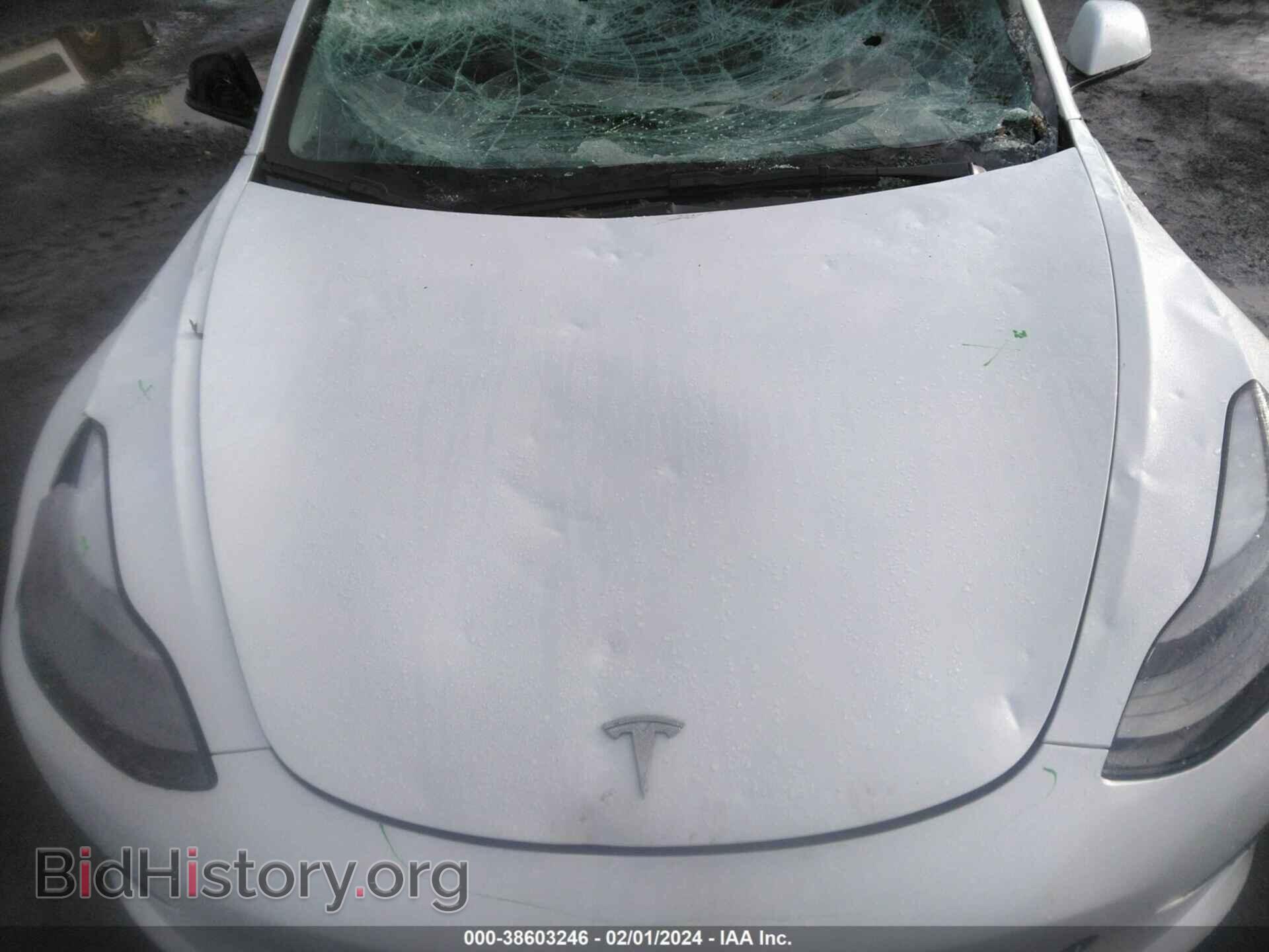 2023 TESLA MODEL 3 - VIN: 5YJ3E1EA8PF404603 - Фото 10
