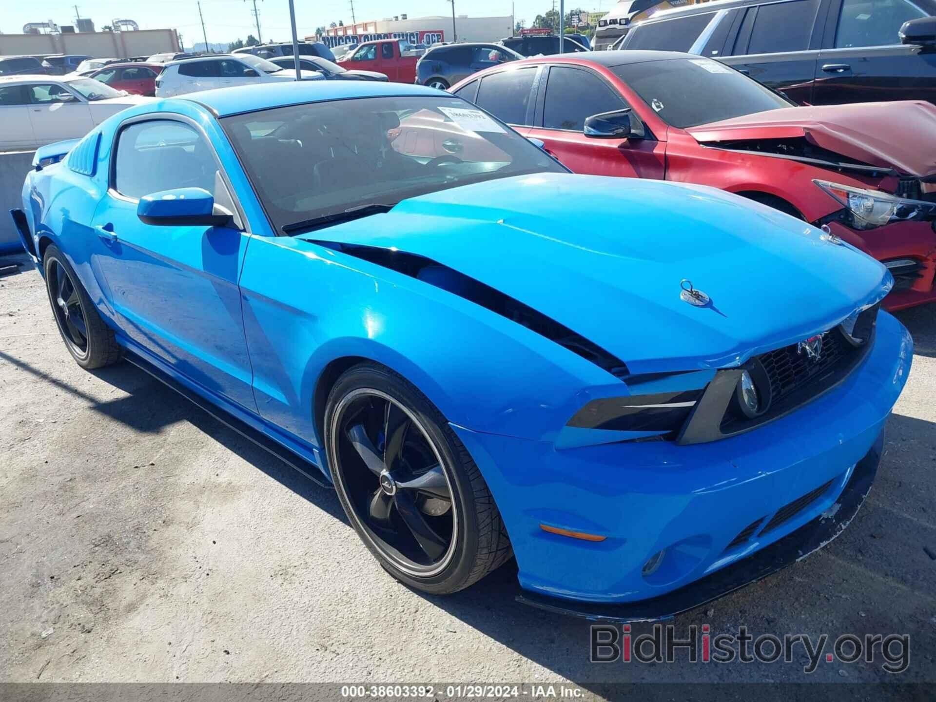 Photo 1ZVBP8AN8A5124029 - FORD MUSTANG 2010
