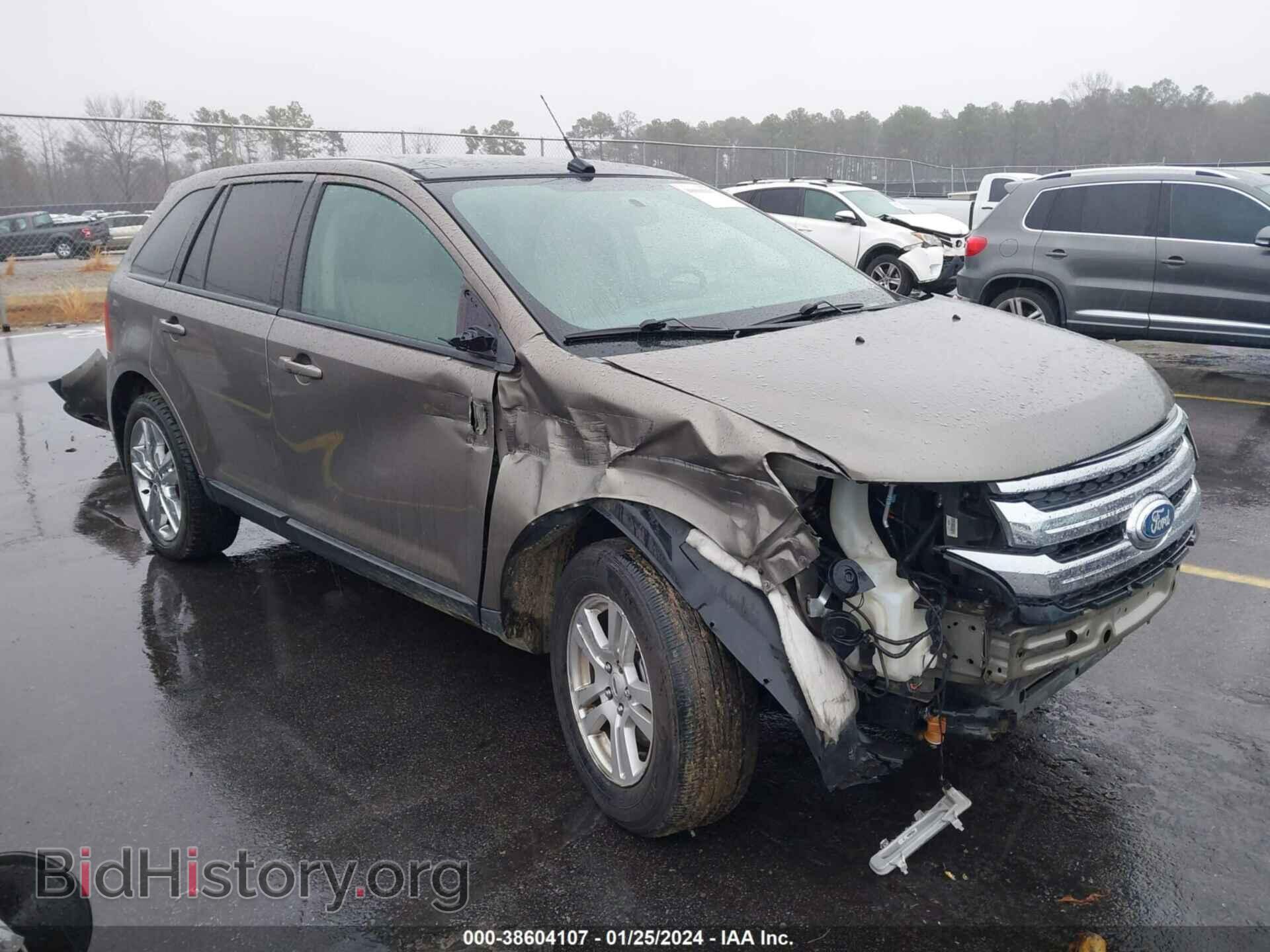 Фотография 2FMDK4JC2DBE22461 - FORD EDGE 2013