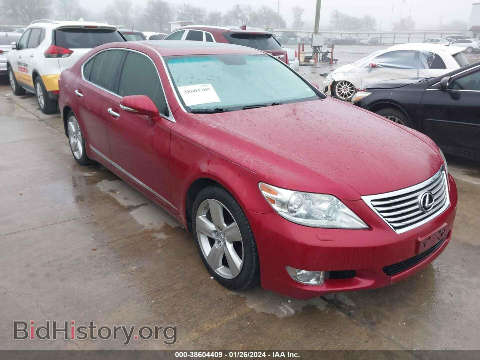 Photo JTHBL5EF1B5104981 - LEXUS LS 460 2011