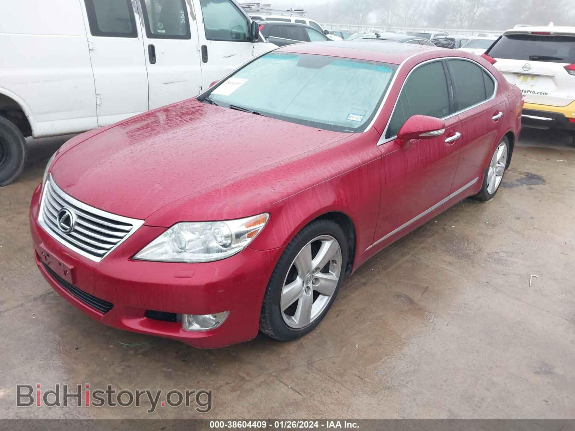 2011 LEXUS LS 460 - VIN: JTHBL5EF1B5104981 - Фото 2