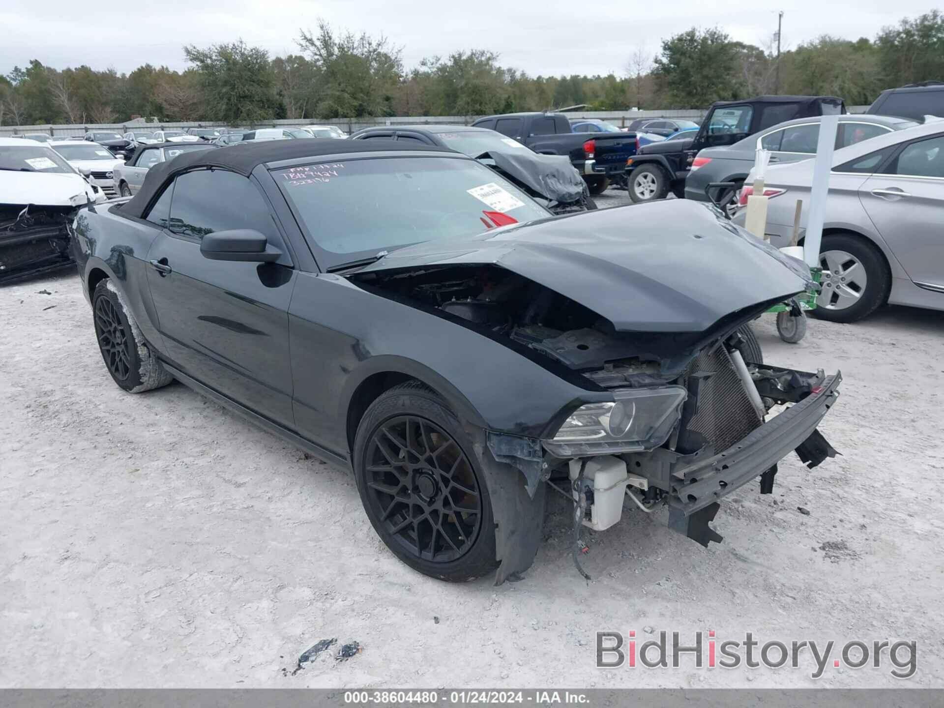 Photo 1ZVBP8EM4E5323196 - FORD MUSTANG 2014