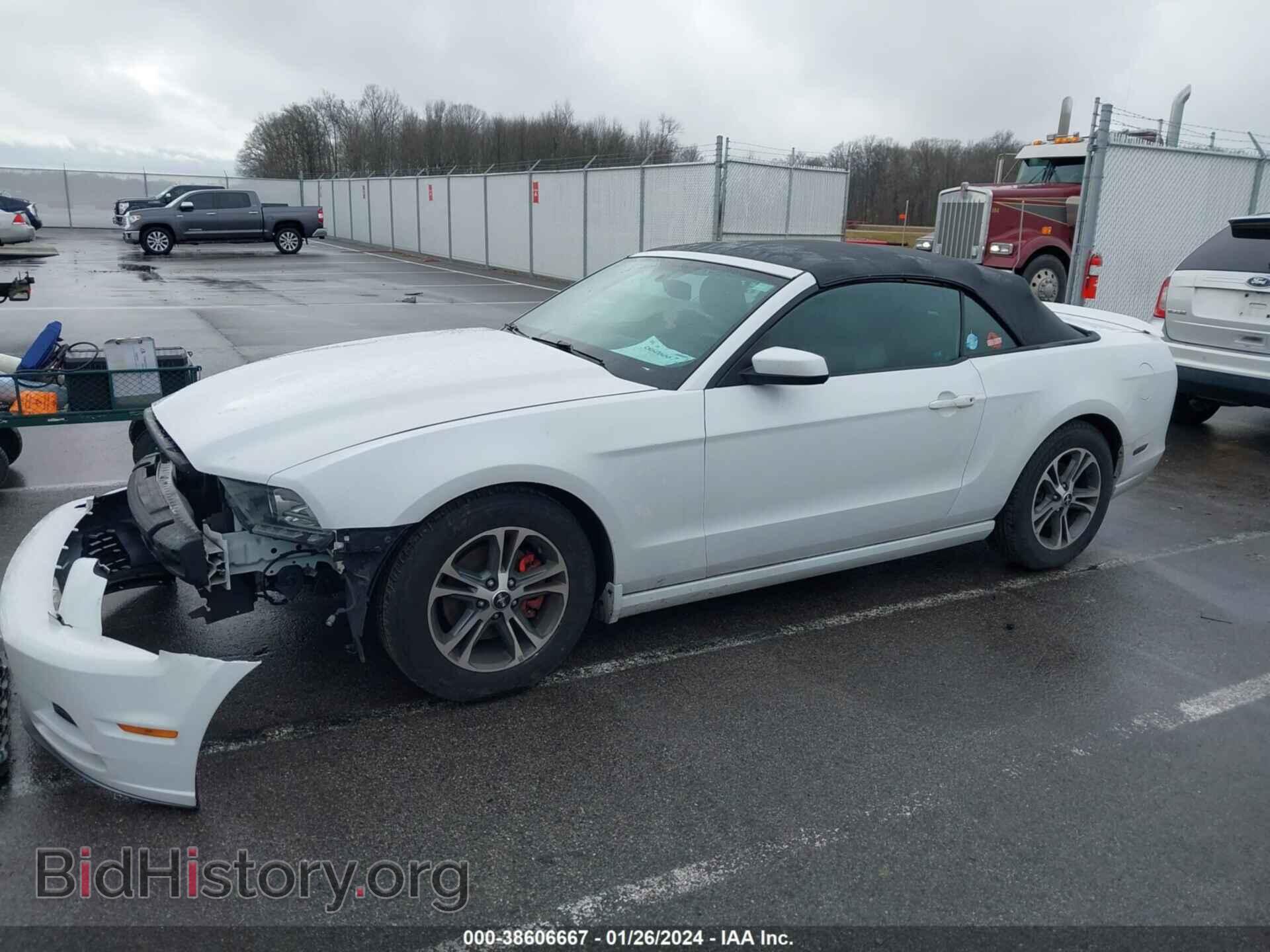2014 FORD MUSTANG - VIN: 1ZVBP8EM4E5242750 - Фото 2