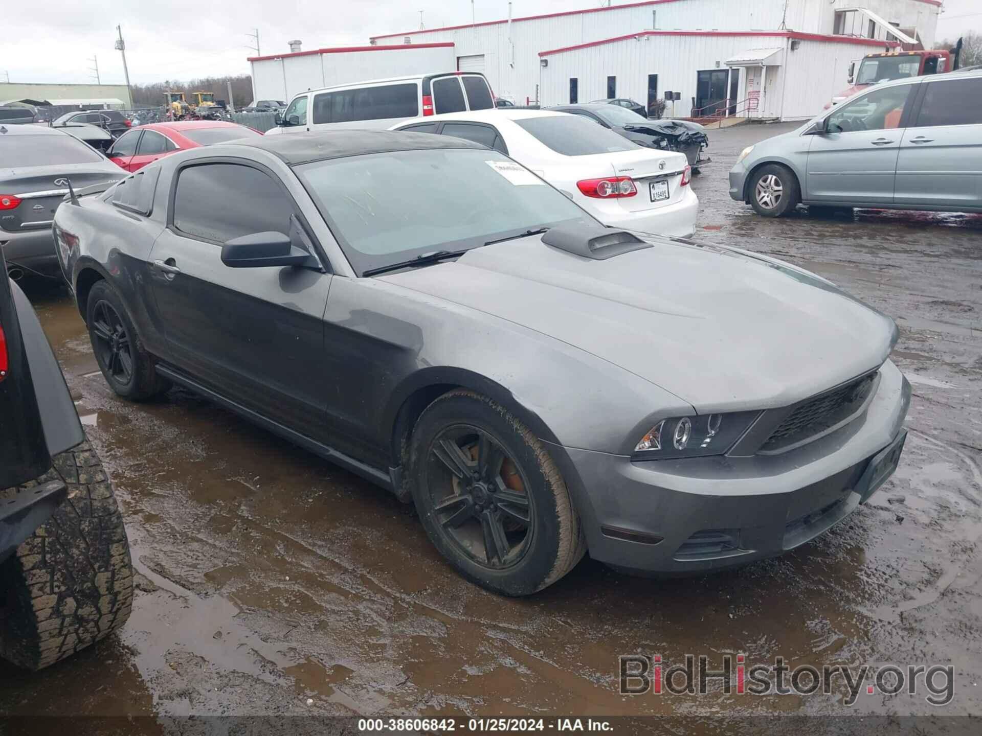 Photo 1ZVBP8AN8A5148735 - FORD MUSTANG 2010