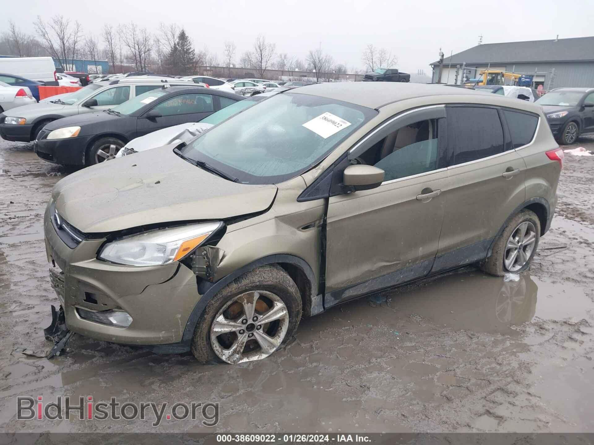 2013 FORD ESCAPE - VIN: 1FMCU0GX8DUD50748 - Фото 2